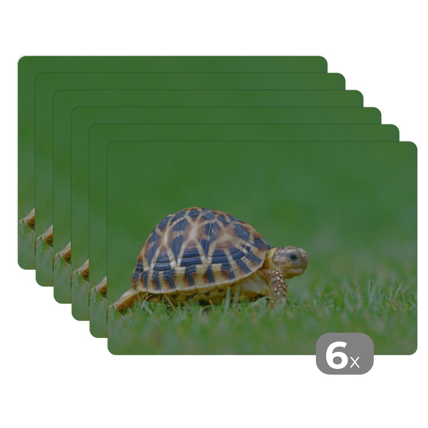 Schmutzabweisend Schildkröte (6-St), Gras, Tischmatten, Platzset, MuchoWow, Platzmatte, Platzdecken, Platzset, im