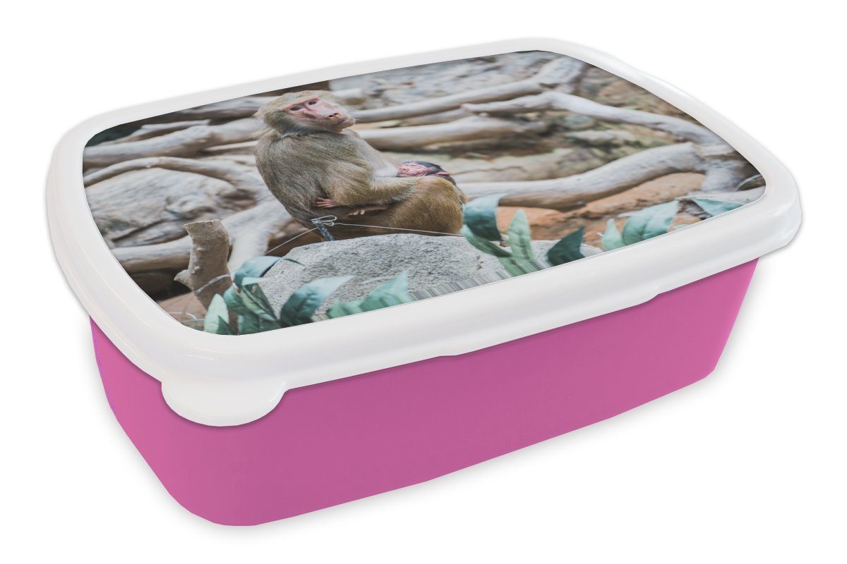 MuchoWow Lunchbox Affe - Junge - Zweig, Kunststoff, (2-tlg), Brotbox für Erwachsene, Brotdose Kinder, Snackbox, Mädchen, Kunststoff rosa