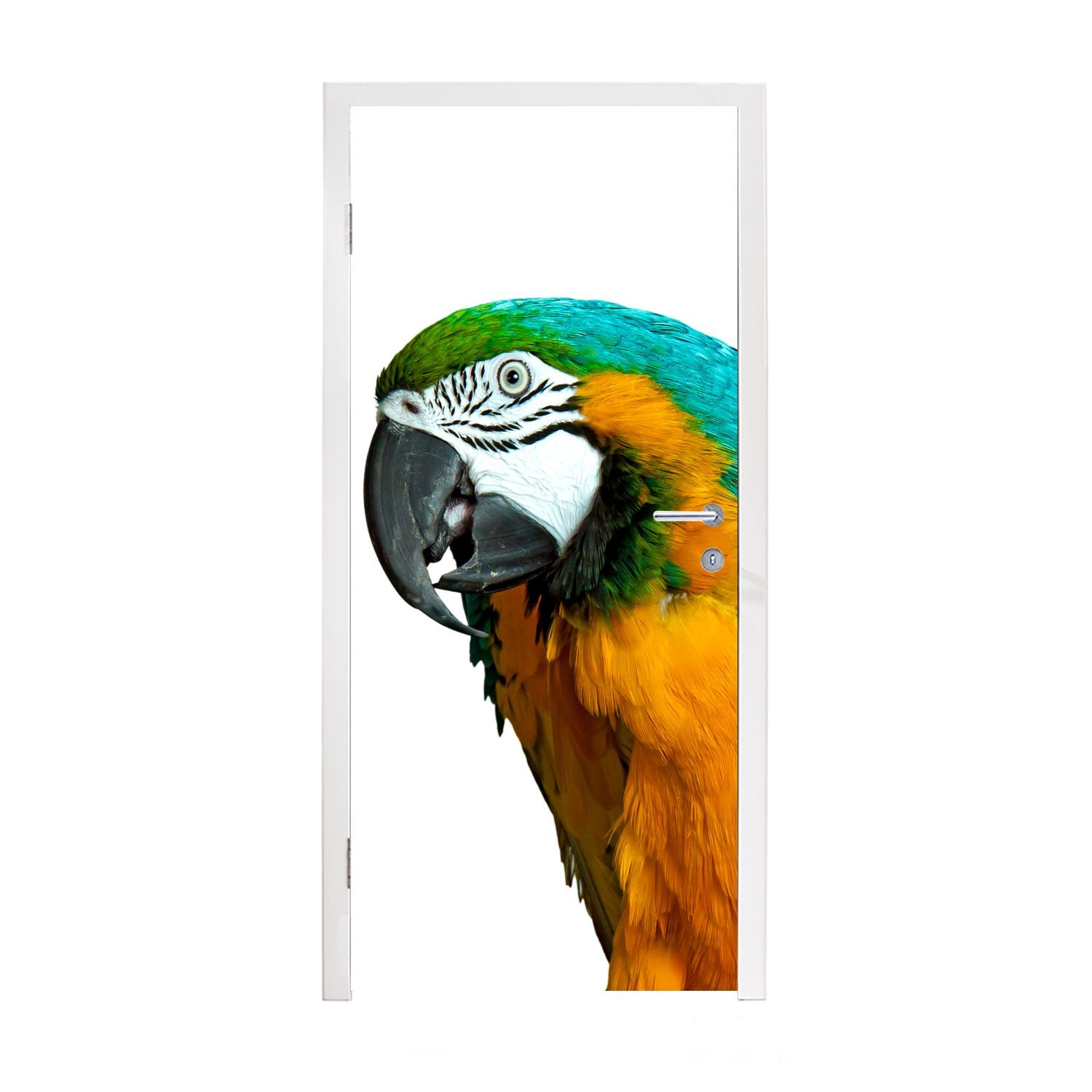 MuchoWow Türtapete Papagei - Vogel - Federn - Porträt, Matt, bedruckt, (1 St), Fototapete für Tür, Türaufkleber, 75x205 cm