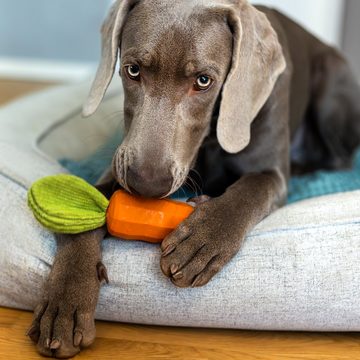 Hey Lana Tierquietschie Spielzeug aus Naturkautschuk "A carrot a day - keeps the DoGtor away", Naturkautschuk