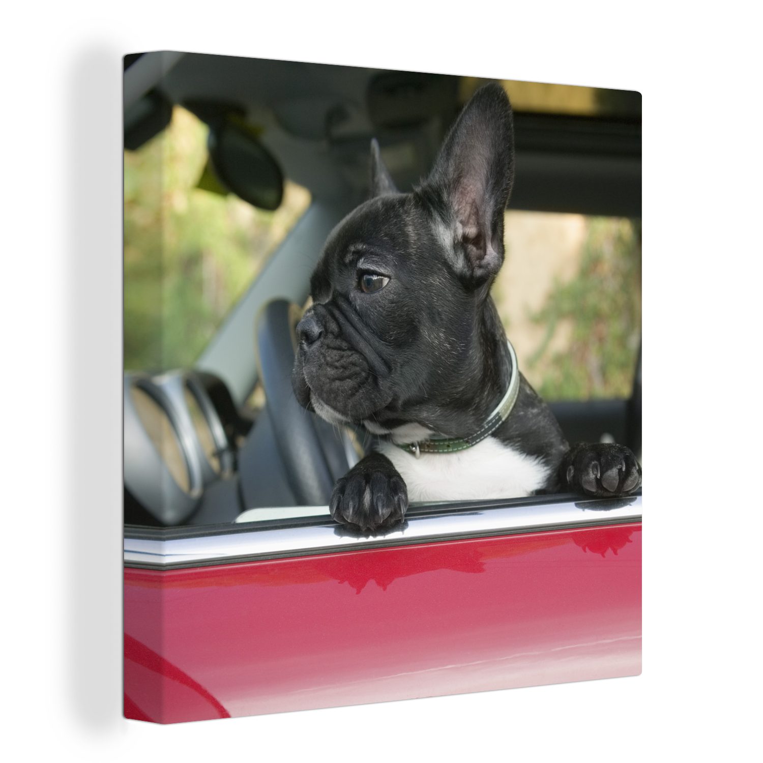 (1 Leinwand Schlafzimmer für Wohnzimmer Leinwandbild Französische Auto Bulldogge Bilder OneMillionCanvasses® - St), - Rot,