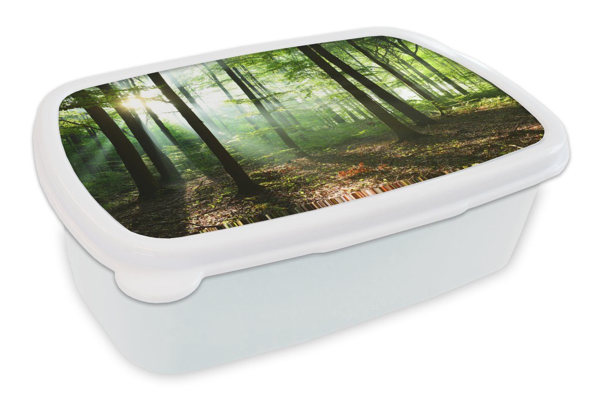 MuchoWow Lunchbox Wald - Sonne - Laub, Kunststoff, (2-tlg), Brotbox für Kinder und Erwachsene, Brotdose, für Jungs und Mädchen weiß