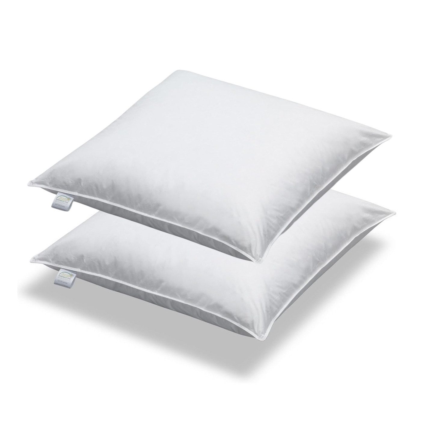 SPESSARTTRAUM Daunenkissen 2 Stück Daunen + Federn Kissen Sofakissen Füllki günstig online kaufen