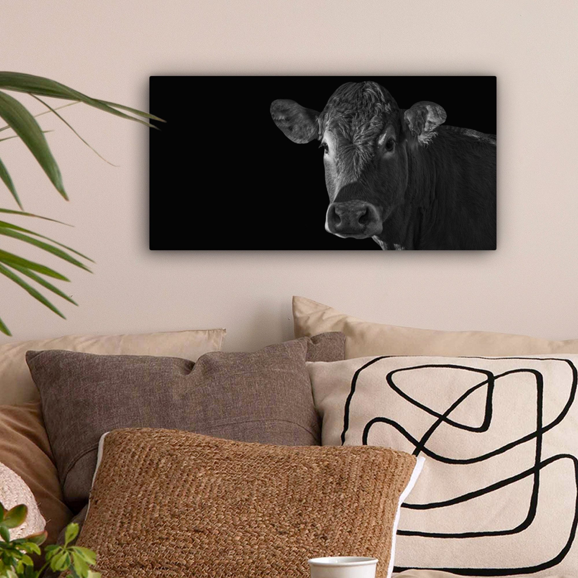 OneMillionCanvasses® Leinwandbild Panorama Kuh - Tiere günstig online kaufen