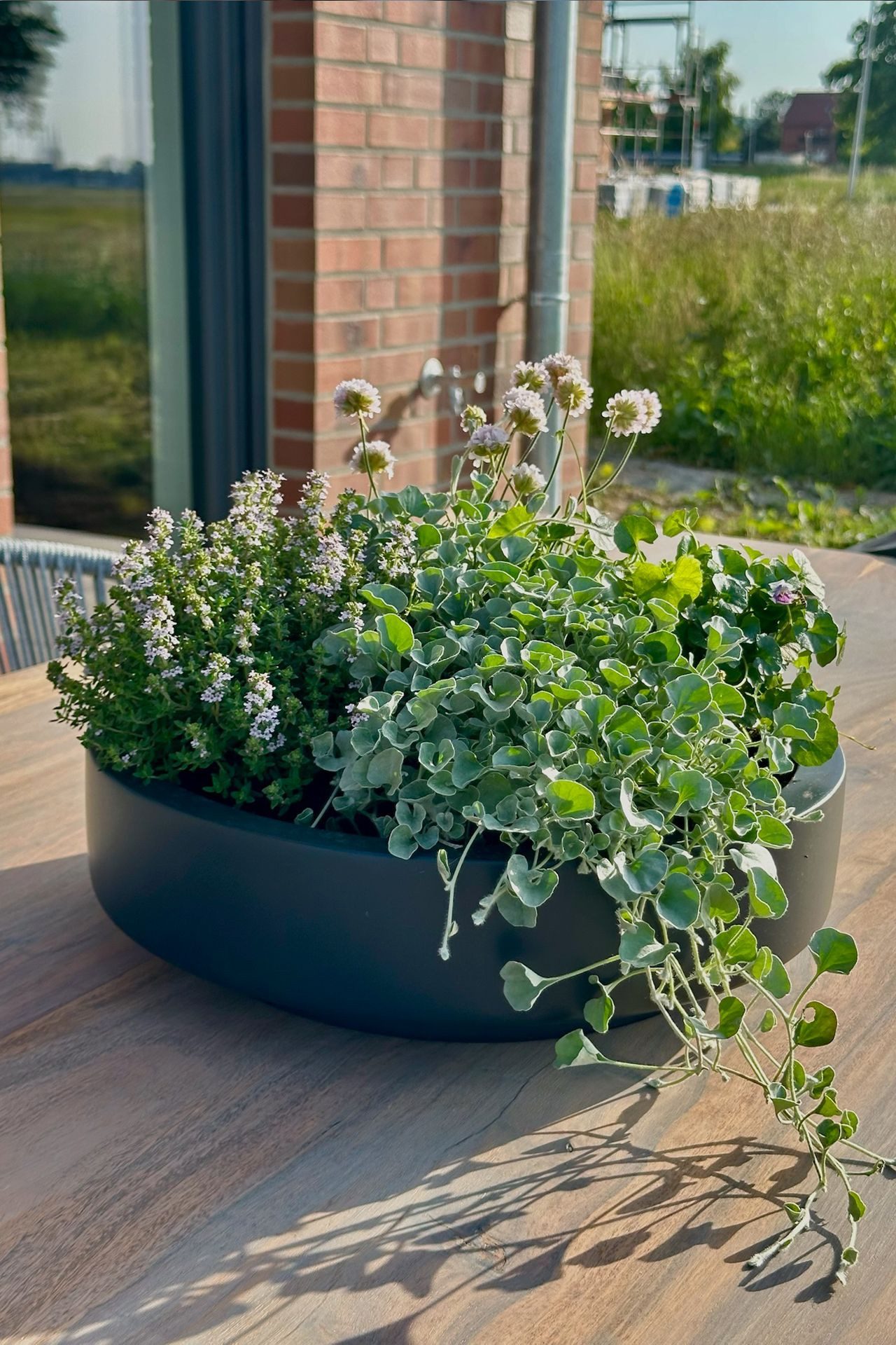 VIVANNO Pflanzschale Fiberglas ESCADA LOW Schale - Anthrazit Matt (1 St), 3 günstig online kaufen
