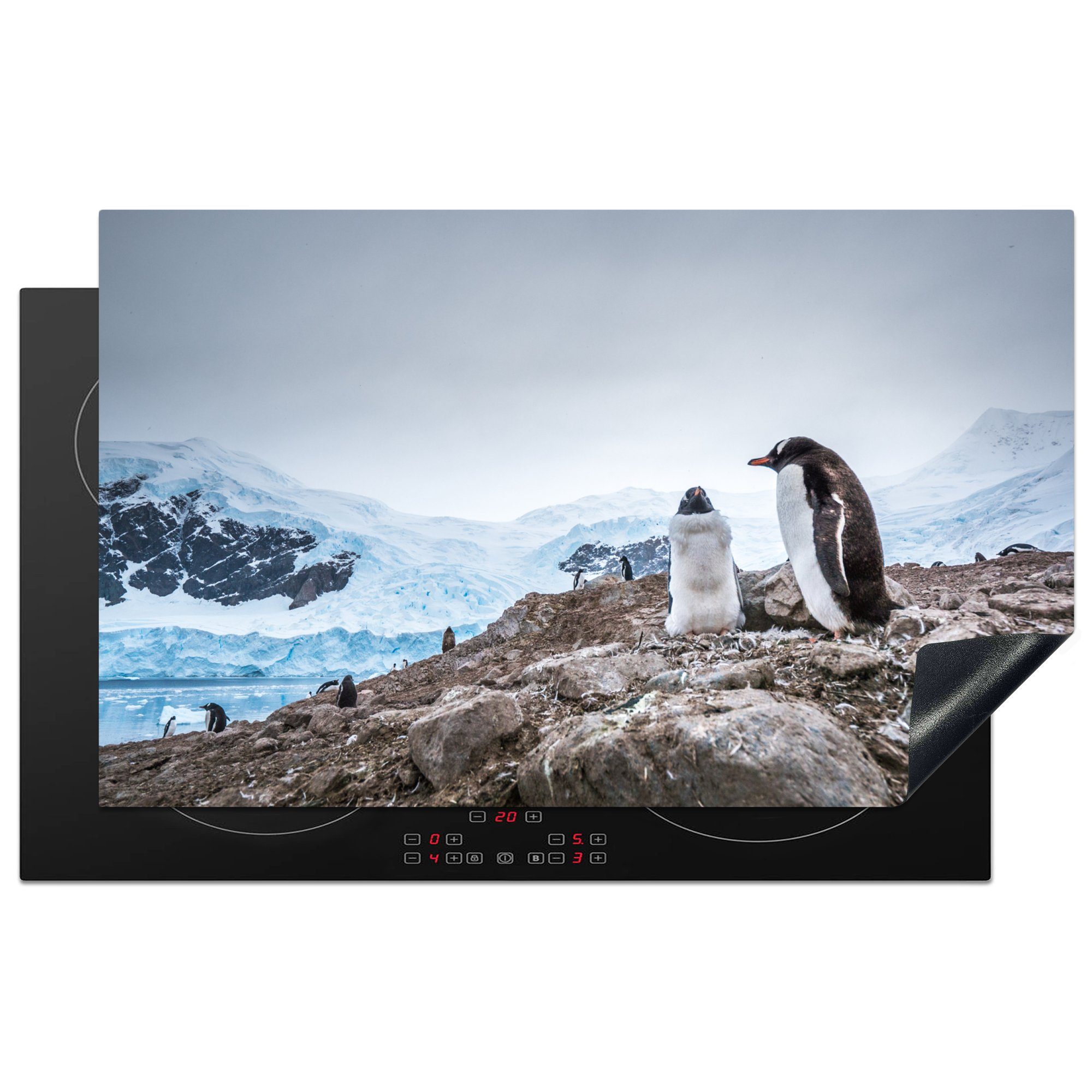 MuchoWow Herdblende-/Abdeckplatte Pinguine stehen auf einem Felsen in der Antarktis, Vinyl, (1 tlg), 83x51 cm, Ceranfeldabdeckung, Arbeitsplatte für küche