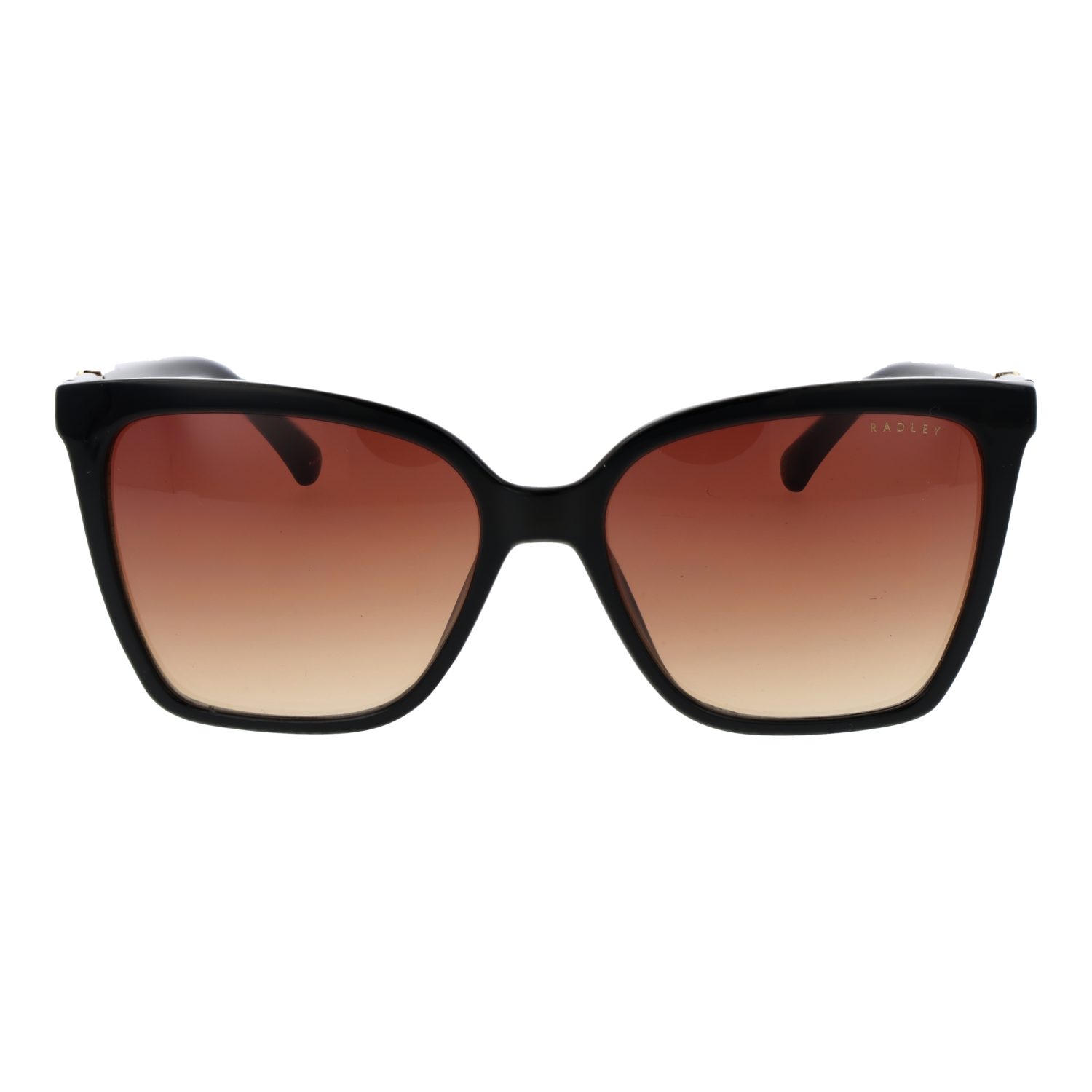 Radley Sonnenbrille RDS-6557 54104