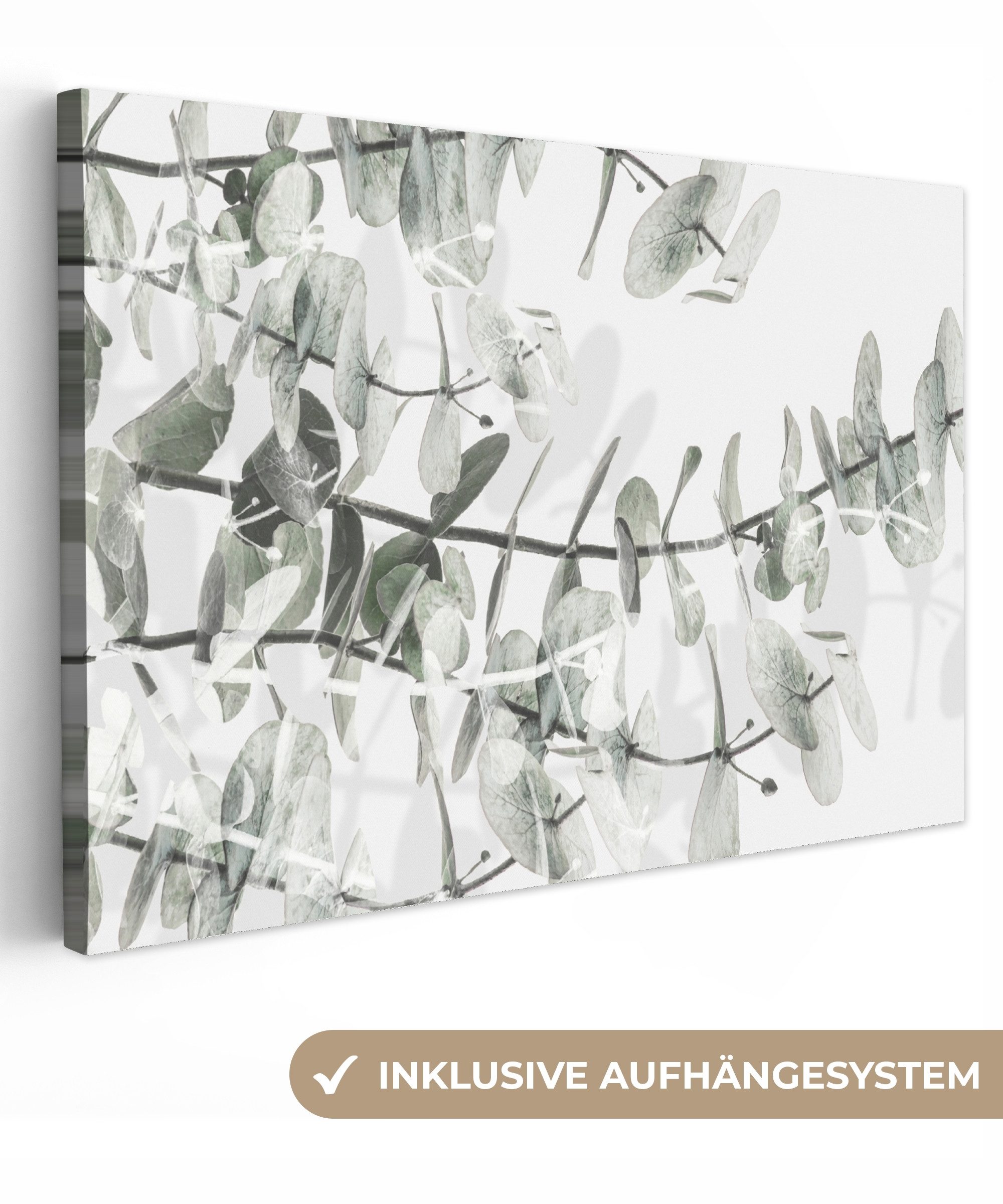 OneMillionCanvasses® Leinwandbild Pflanzen - Natur - günstig online kaufen