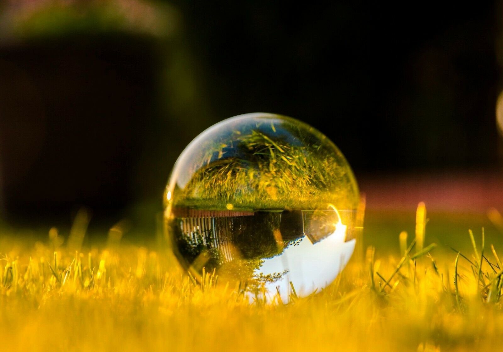 Yudu Dekokugel Kristallkugel Wahrsager Glaskugel mit Ständer transparent günstig online kaufen