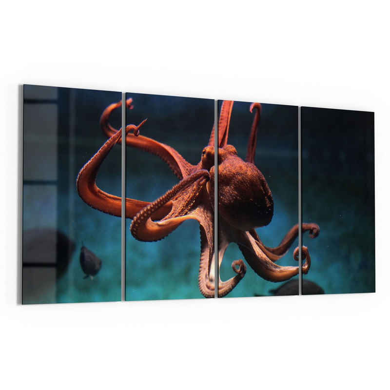 DEQORI Glasbild 'Oktopus im Wasser', 'Oktopus im Wasser', Glas Wandbild Bild schwebend modern