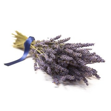 Trockenblume Echter Lavendel getrocknet Lavendelstrauß Deko Lavendelbund Ernte 2023 Lavendel, ROSEMARIE SCHULZ Heidelberg, Höhe 40 cm, französischer Lavendel aus der Provence auch für Lavendelsäckchen