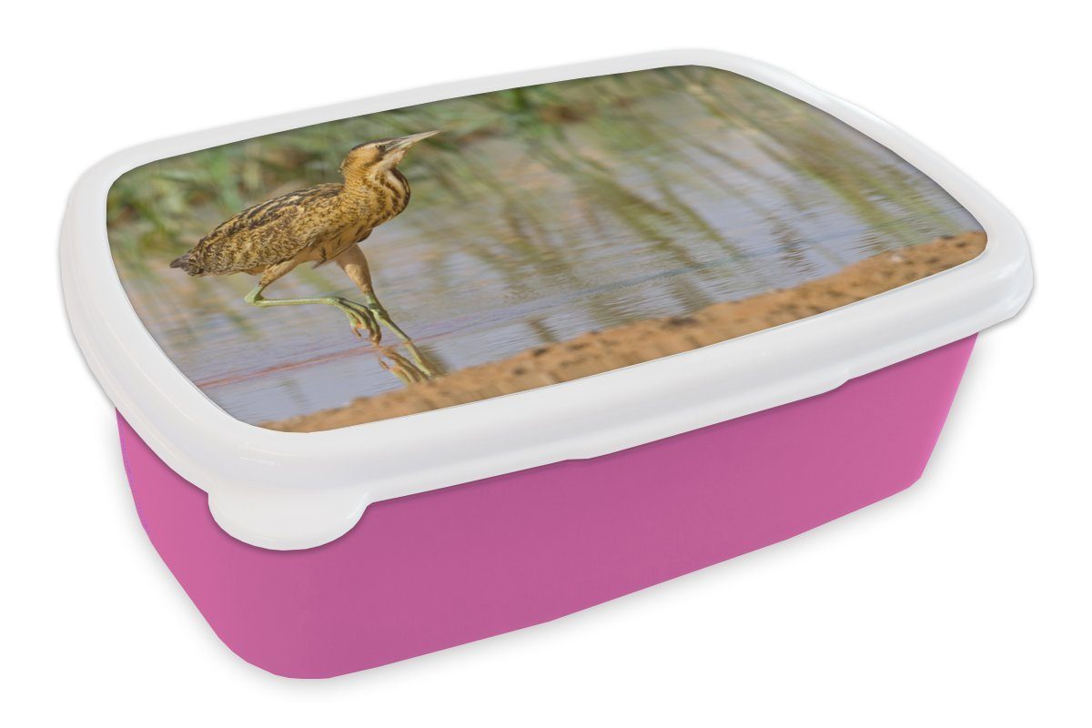 MuchoWow Lunchbox Eine im Wasser stehende Rohrdommel, Kunststoff, (2-tlg), Brotbox für Erwachsene, Brotdose Kinder, Snackbox, Mädchen, Kunststoff rosa