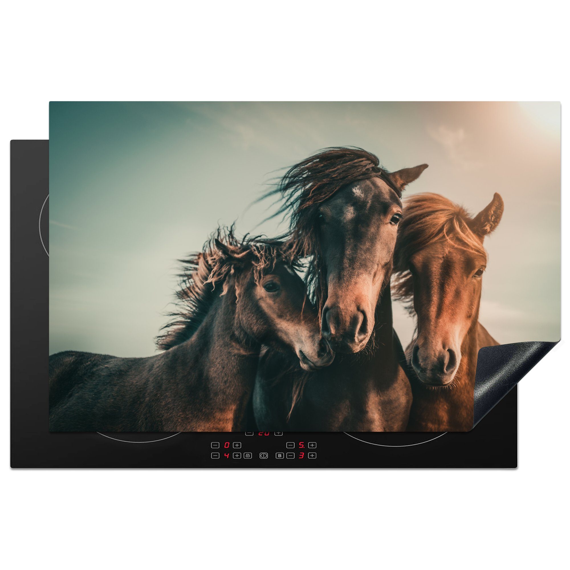 MuchoWow Herdblende-/Abdeckplatte Pferde - Nahaufnahme - Sonne, Vinyl, (1 tlg), 81x52 cm, Induktionskochfeld Schutz für die küche, Ceranfeldabdeckung