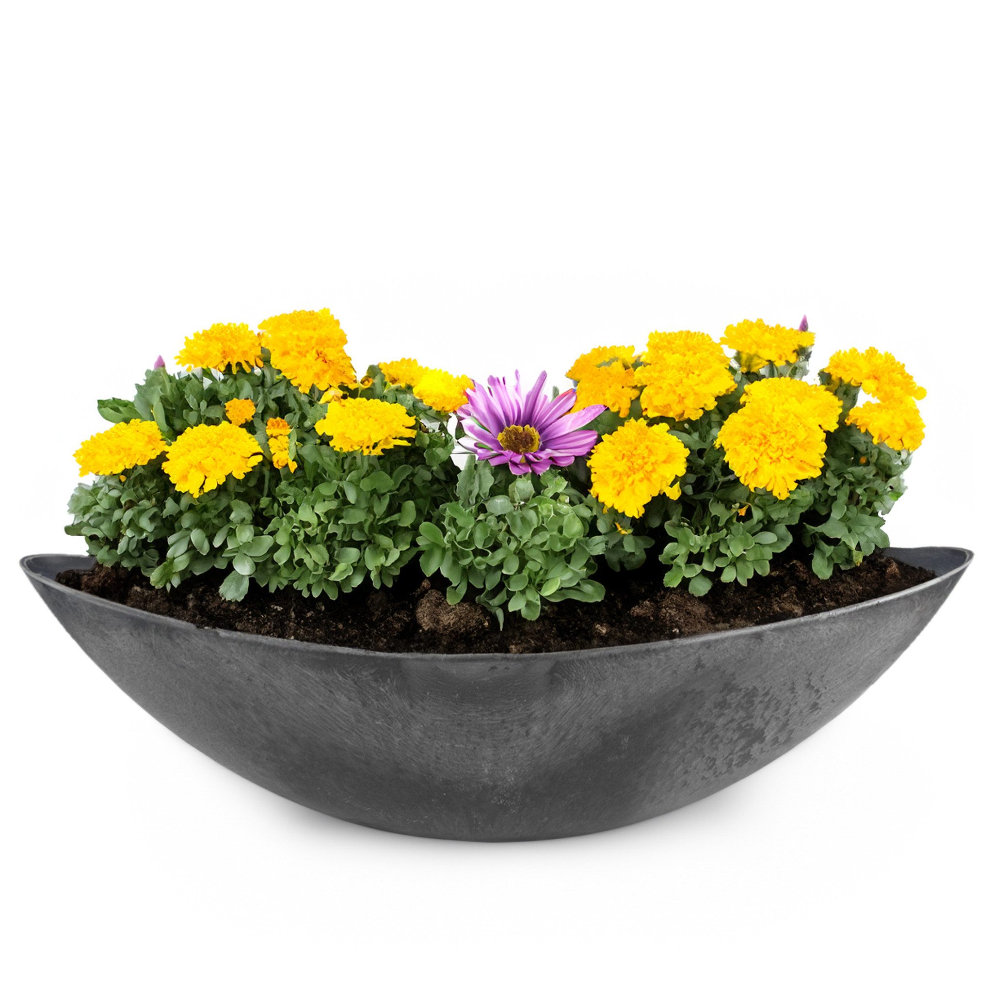 matches21 HOME & HOBBY Blumentopf Große Vintage Outdoor Pflanzschale oval 55 cm schwarz (1 St), Längliche Deko-Schale als wetterfeste Garten-Deko Blumen-Schale