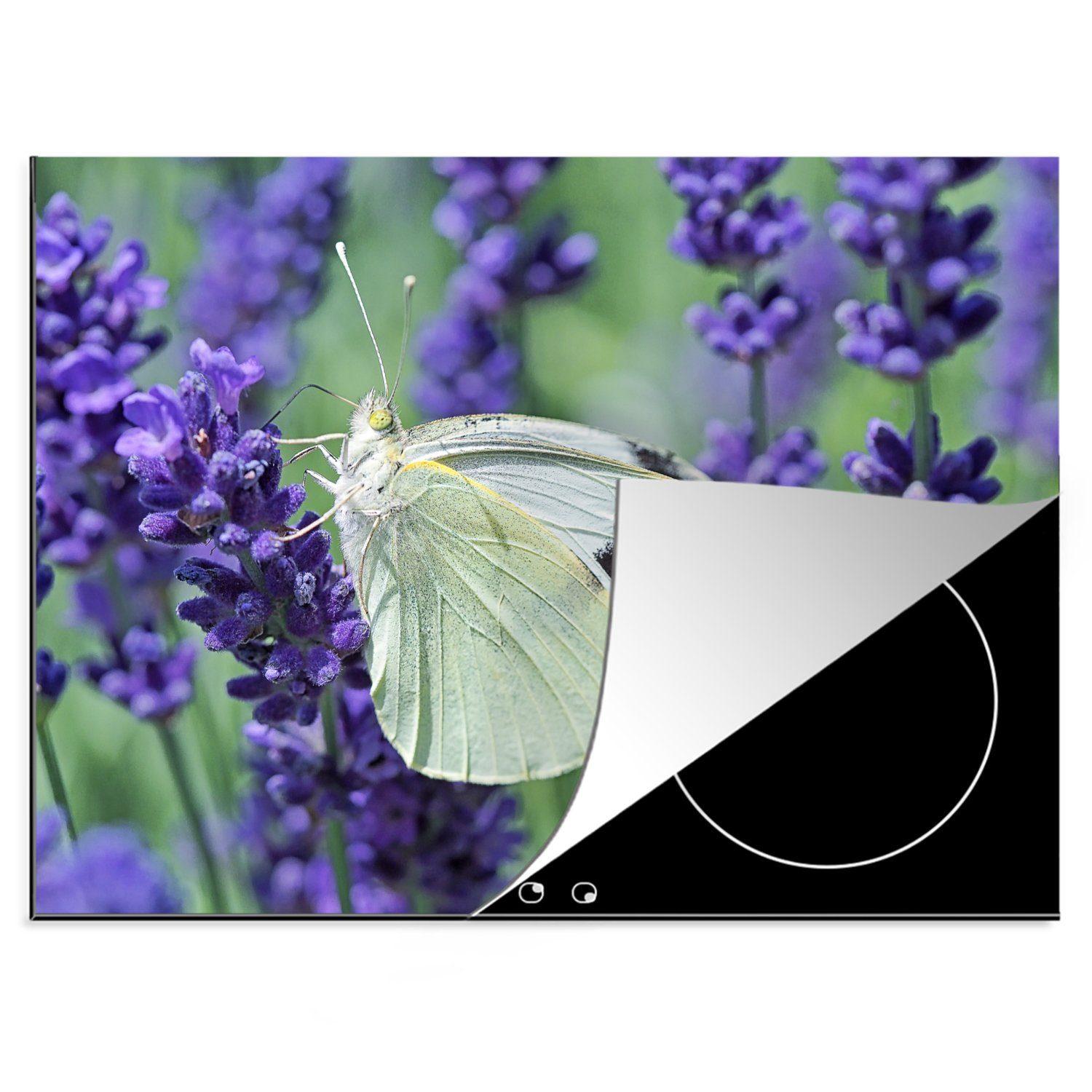 MuchoWow Herdblende-/Abdeckplatte Schmetterlingskohl weiß mit Lavendel, Vinyl, (1 tlg), 70x52 cm, Mobile Arbeitsfläche nutzbar, Ceranfeldabdeckung