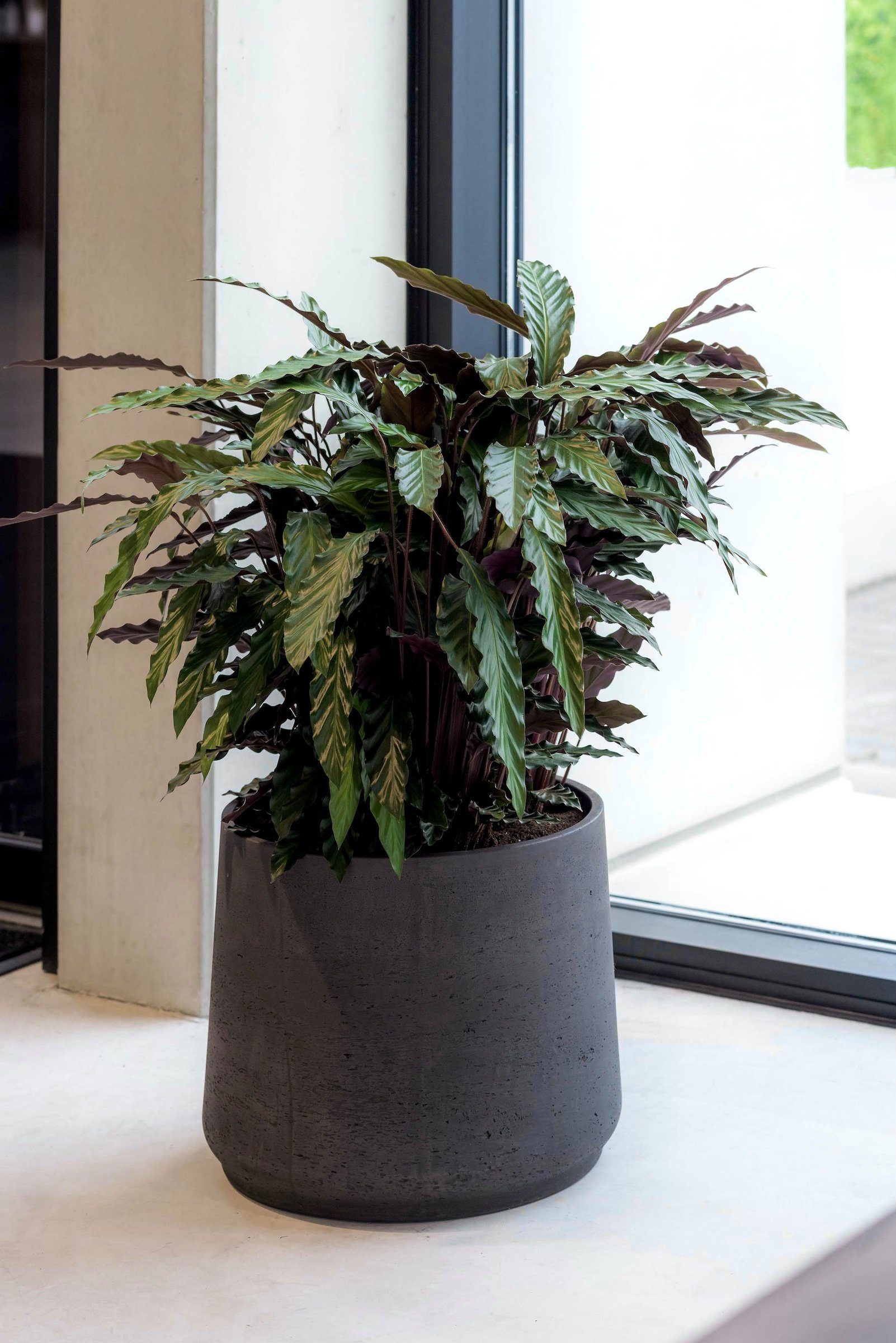 finestgreen Pflanzkübel Handgefertigtes Pflanzgefäß Patt günstig online kaufen