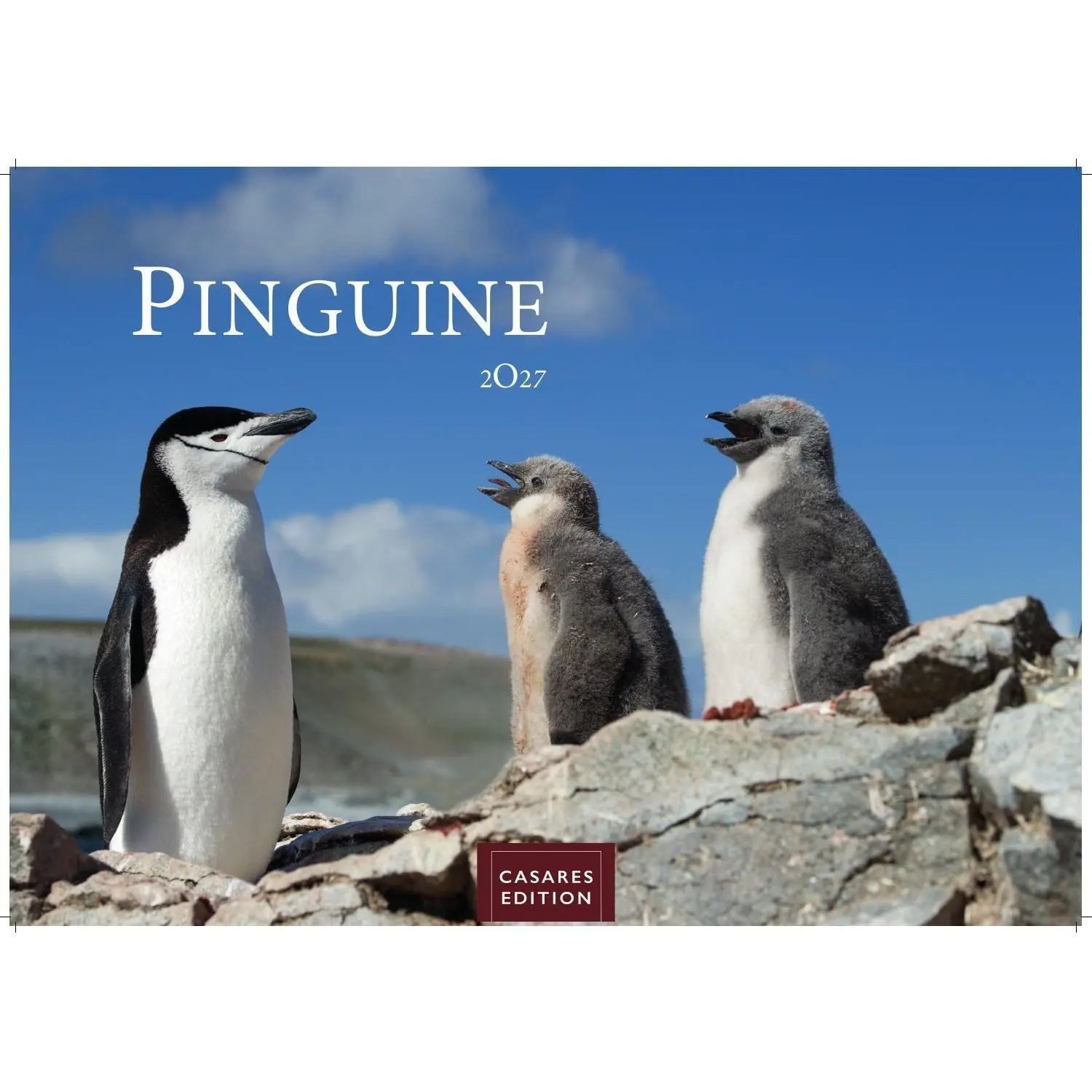 Wandkalender Pinguine Kalender 2027 - Wandkalender, Fotokalender Tierkalender...