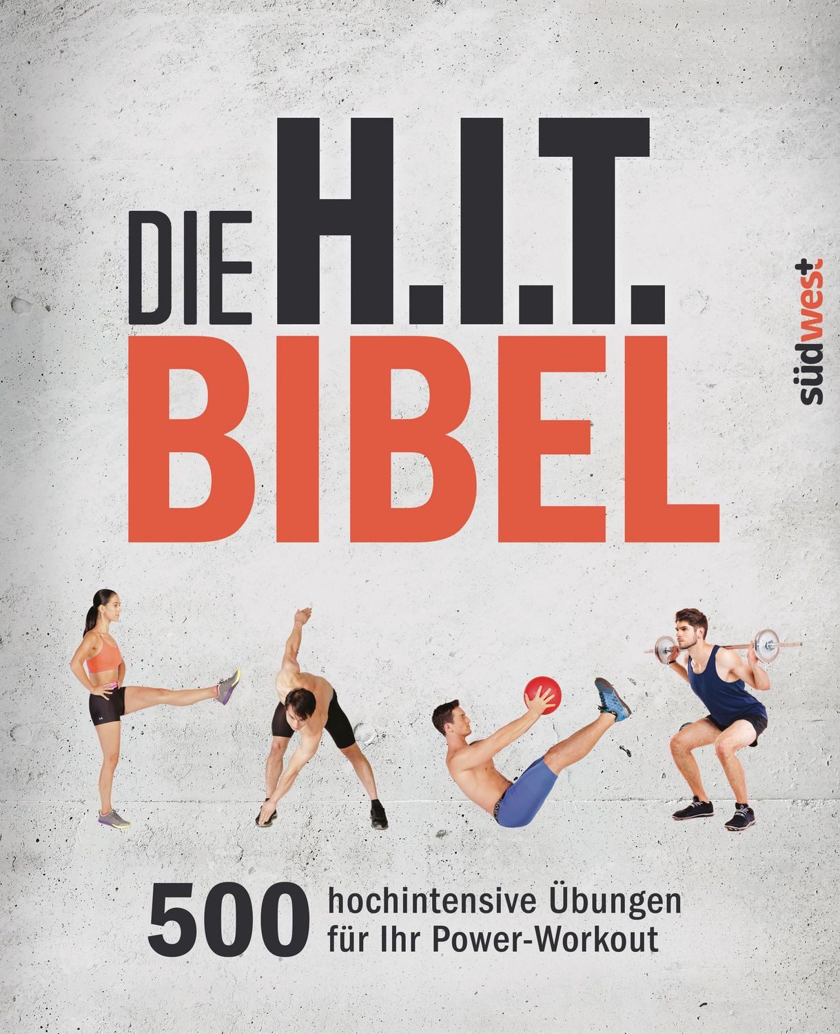Die H.I.T.-Bibel / diverse