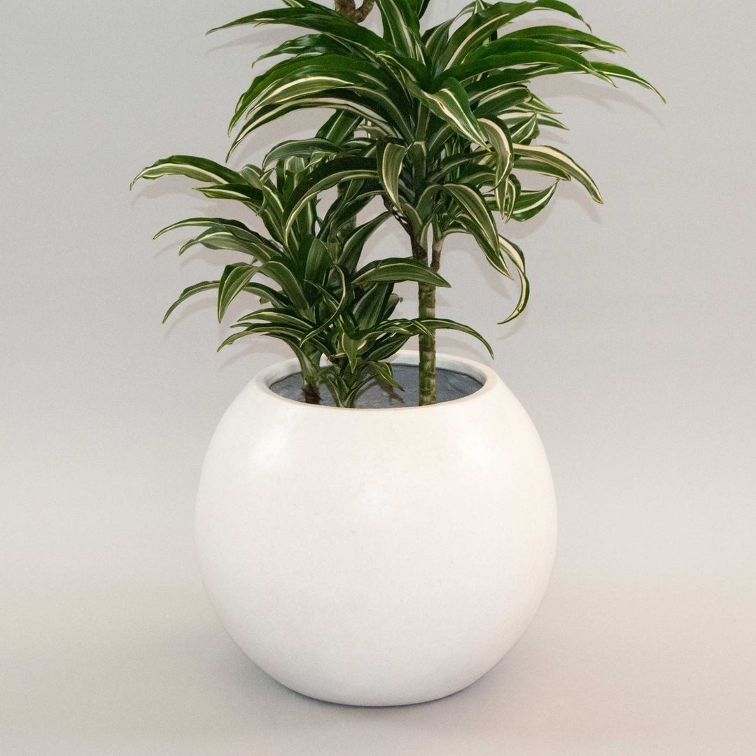 Elegant Einrichten Pflanzkübel Elegant Einrichten Pflanzkübel Fiberglas Bal günstig online kaufen