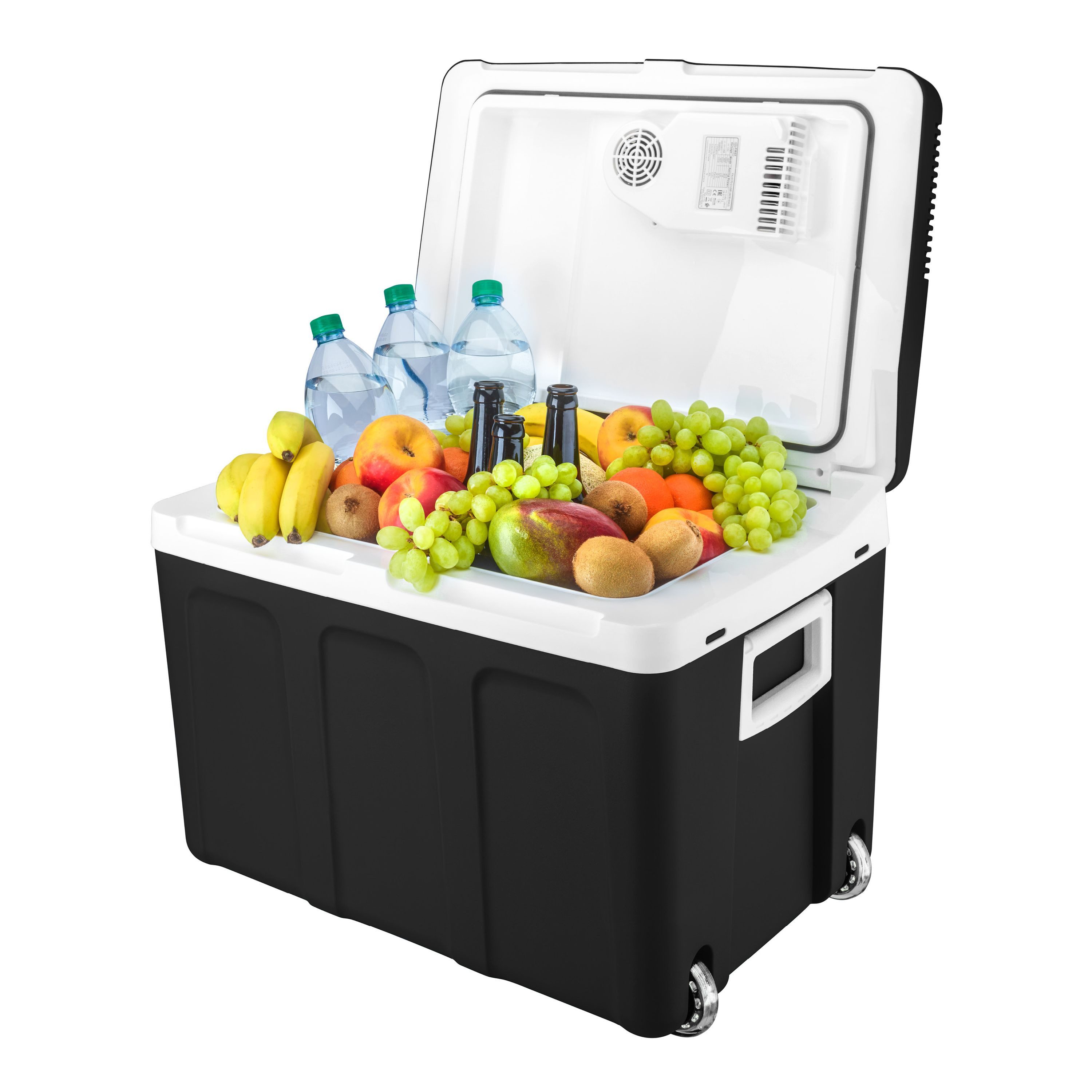 TZS FIRST AUSTRIA Elektrische Kühlbox Mobil Kühlschrank 45L, 12V /230V Anschluss, 12-V-Stecker fürs Auto, für Camping, Festivals, Reisen, mit Kühl- und Warmhaltefunktion