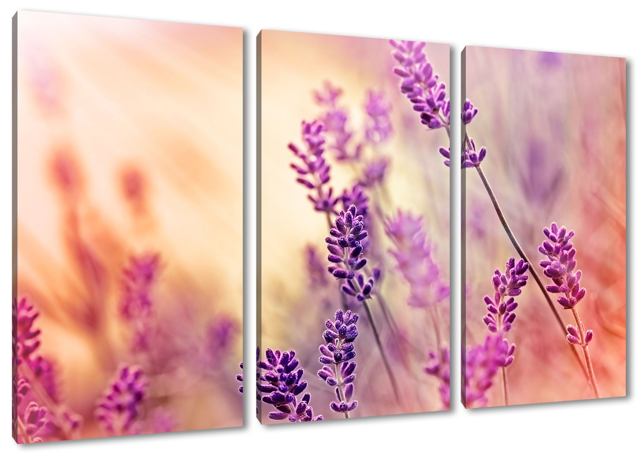 Pixxprint Leinwandbild Eleganter Lavendel, Eleganter Lavendel 3Teiler (120x80cm) (1 St), Leinwandbild fertig bespannt, inkl. Zackenaufhänger
