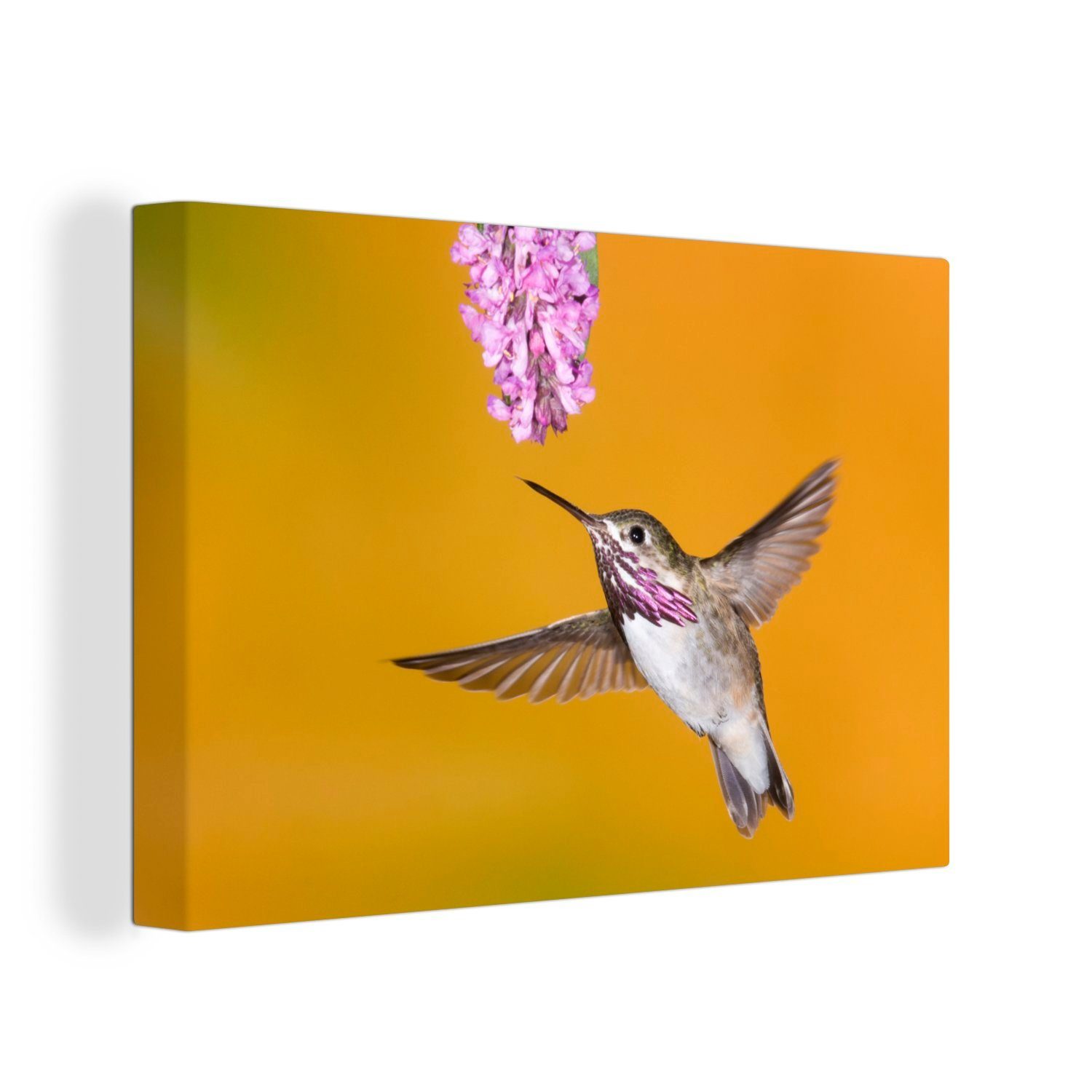 OneMillionCanvasses® Leinwandbild Kolibri - Blume - Gelb, (1 St), Wandbild Leinwandbilder, Aufhängefertig, Wanddeko, 30x20 cm