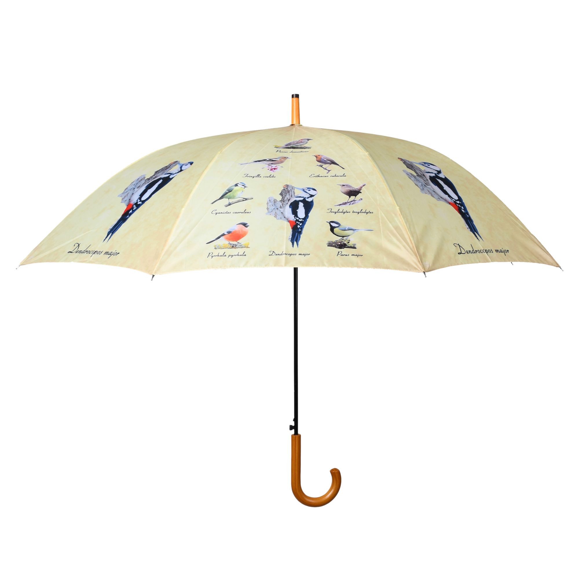 esschert design Stockregenschirm, Regenschirm Vogelsammlung mit Holzoptik-Griff