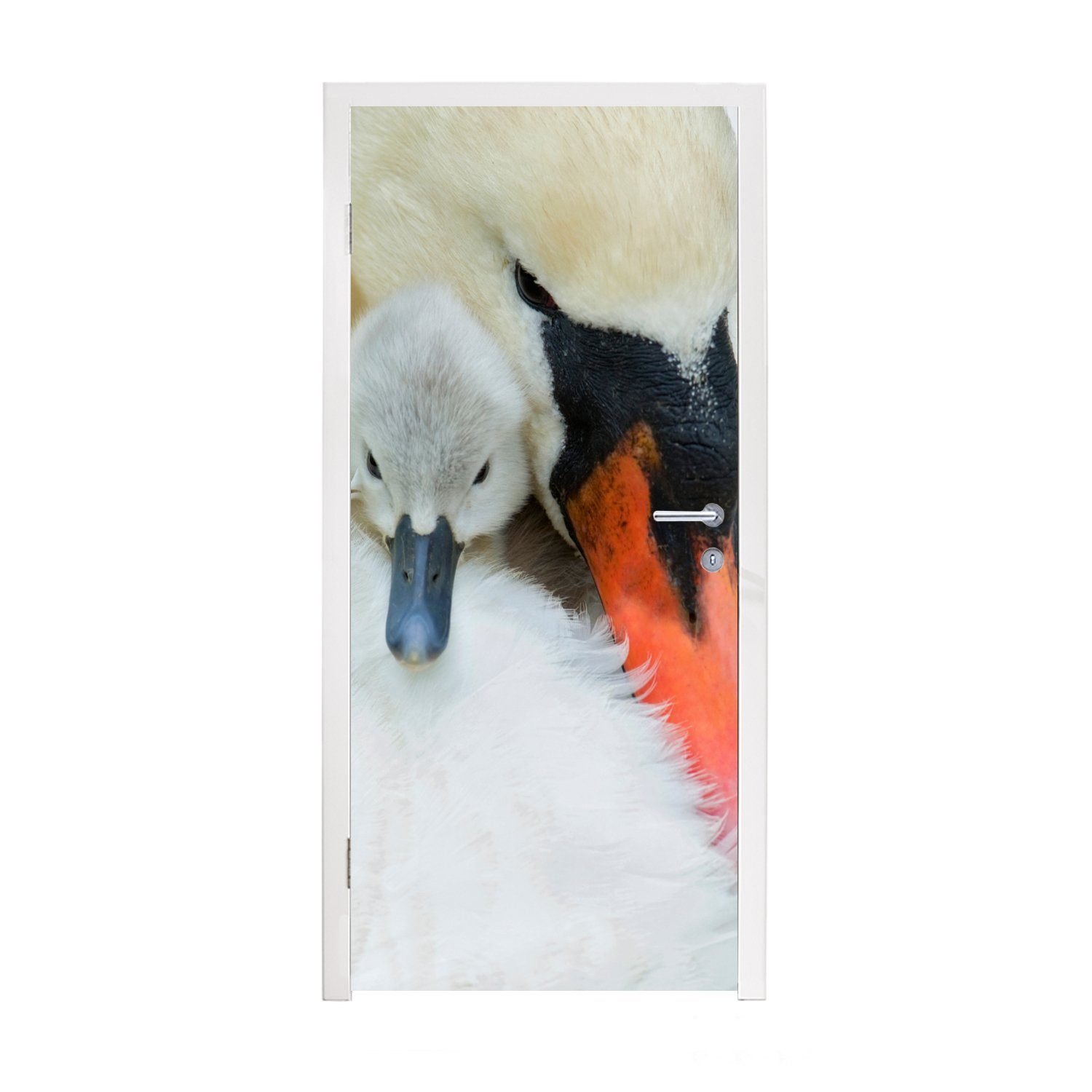 MuchoWow Türtapete Schwan - Küken - Makro, Matt, bedruckt, (1 St), Fototapete für Tür, Türaufkleber, 75x205 cm