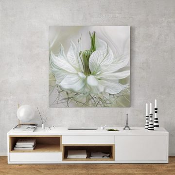 Bilderdepot24 Leinwandbild Blumen Modern floral Natur Weiße Nigella weiss Bild auf Leinwand XXL, Bild auf Leinwand; Leinwanddruck in vielen Größen