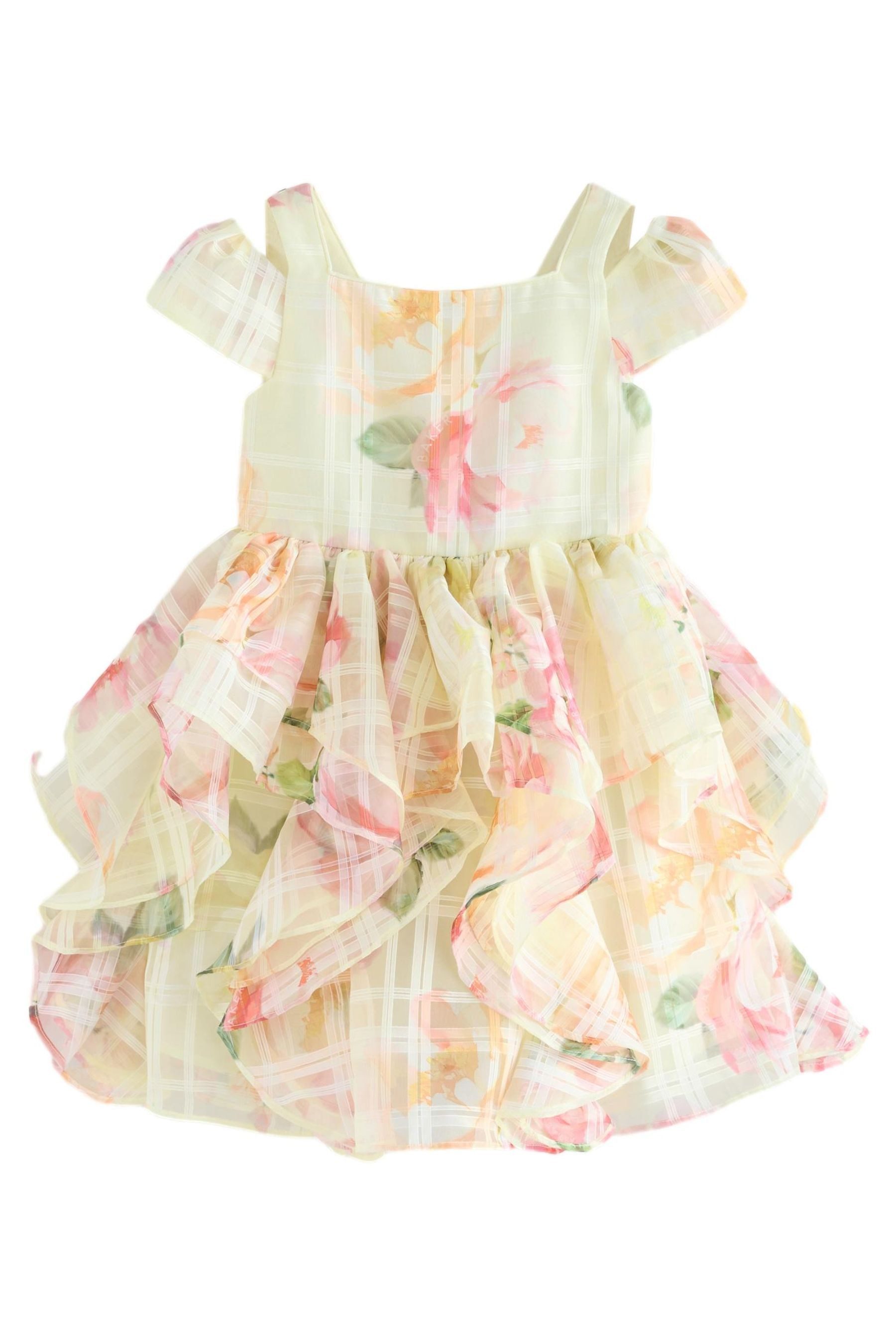Partykleid Baker by Ted Baker Organza-Kleid, Ausbrenneroptik