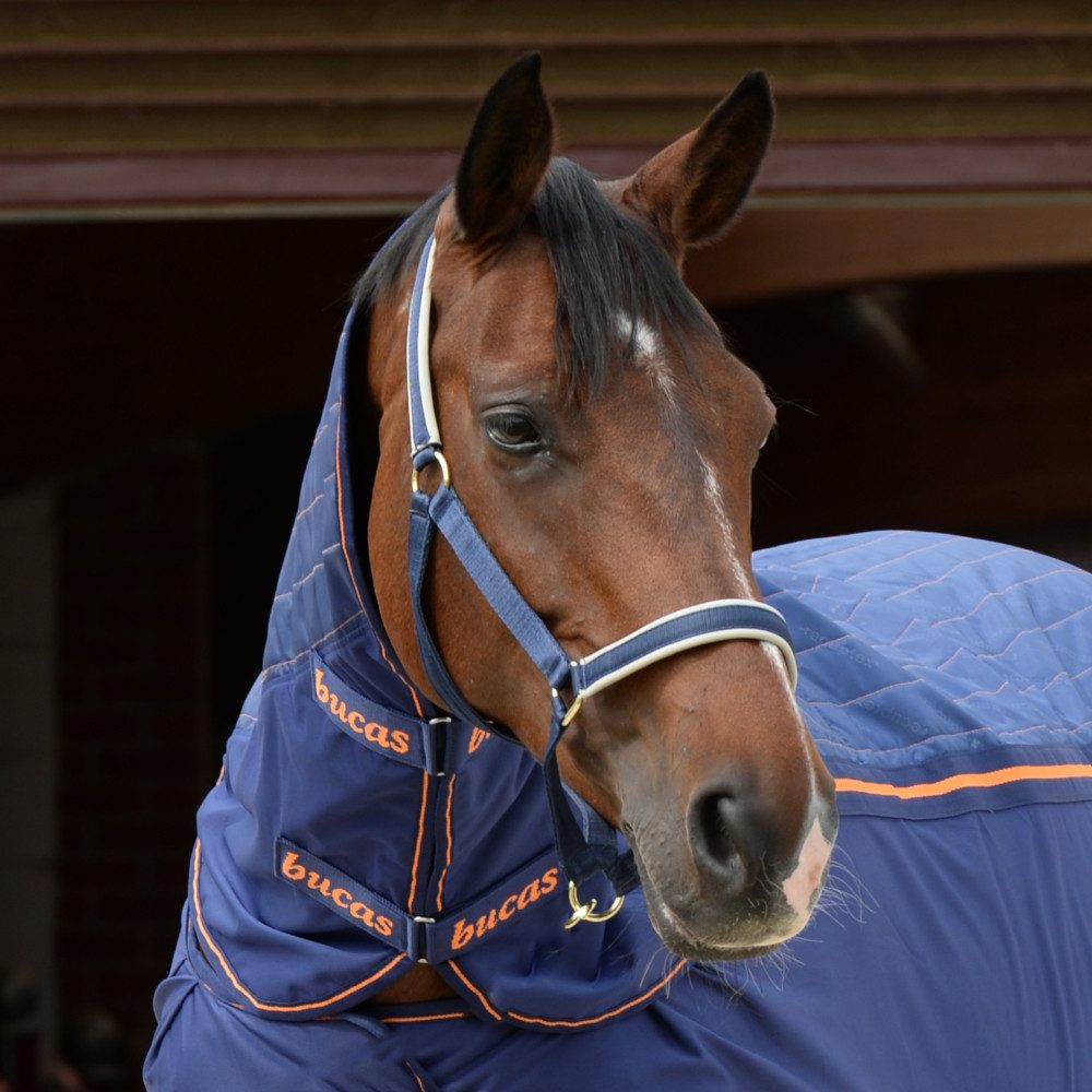 Bucas Pferde-Halsteil Bucas Therapy Cooler Neck - Navy/Orange - Halsteil