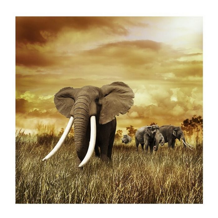TPFLiving Kunstdruck (OHNE RAHMEN) Poster - Leinwand - Wandbild Elefanten in der Savanne mit goldenen braunen und beigen Farbtönen (Verschiedene Größen) Farben: Leinwand bunt - Größe: 30x30cm