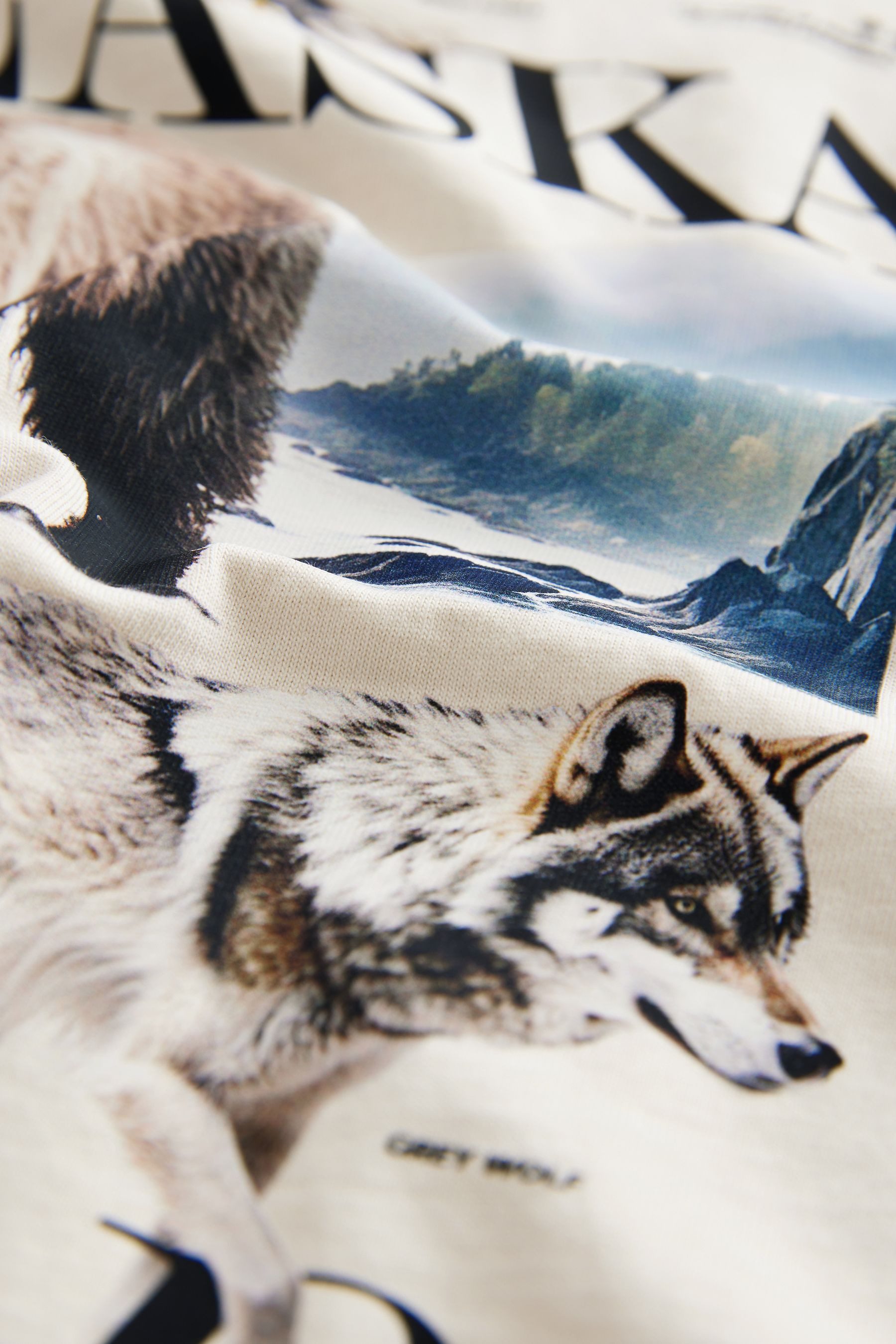 Next Langarmshirt Langärmeliges Grafik-T-Shirt (1-tlg)