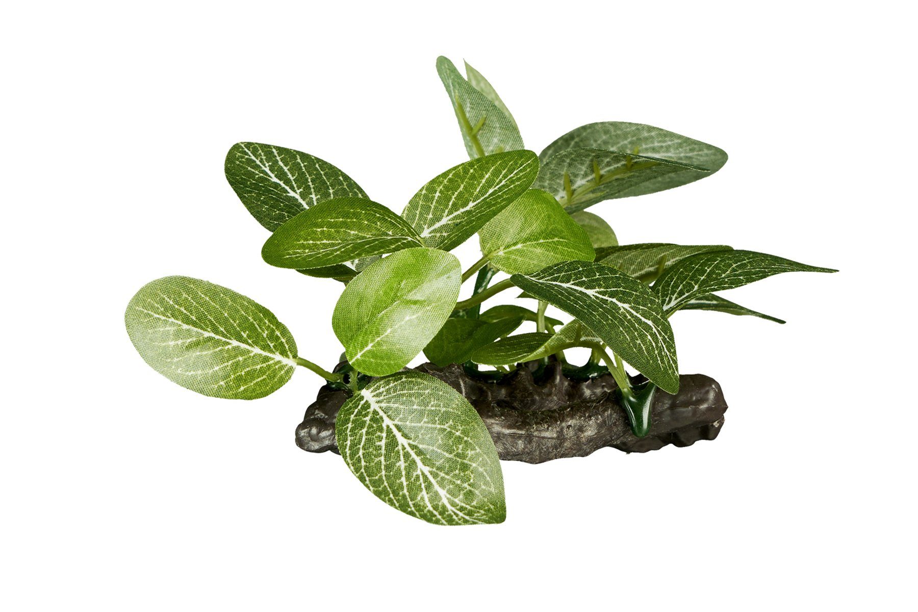 ReptiZoo Terrariendeko ReptiZoo Kunststoffpflanze "Helenia elliptica" – Terrariendekoration