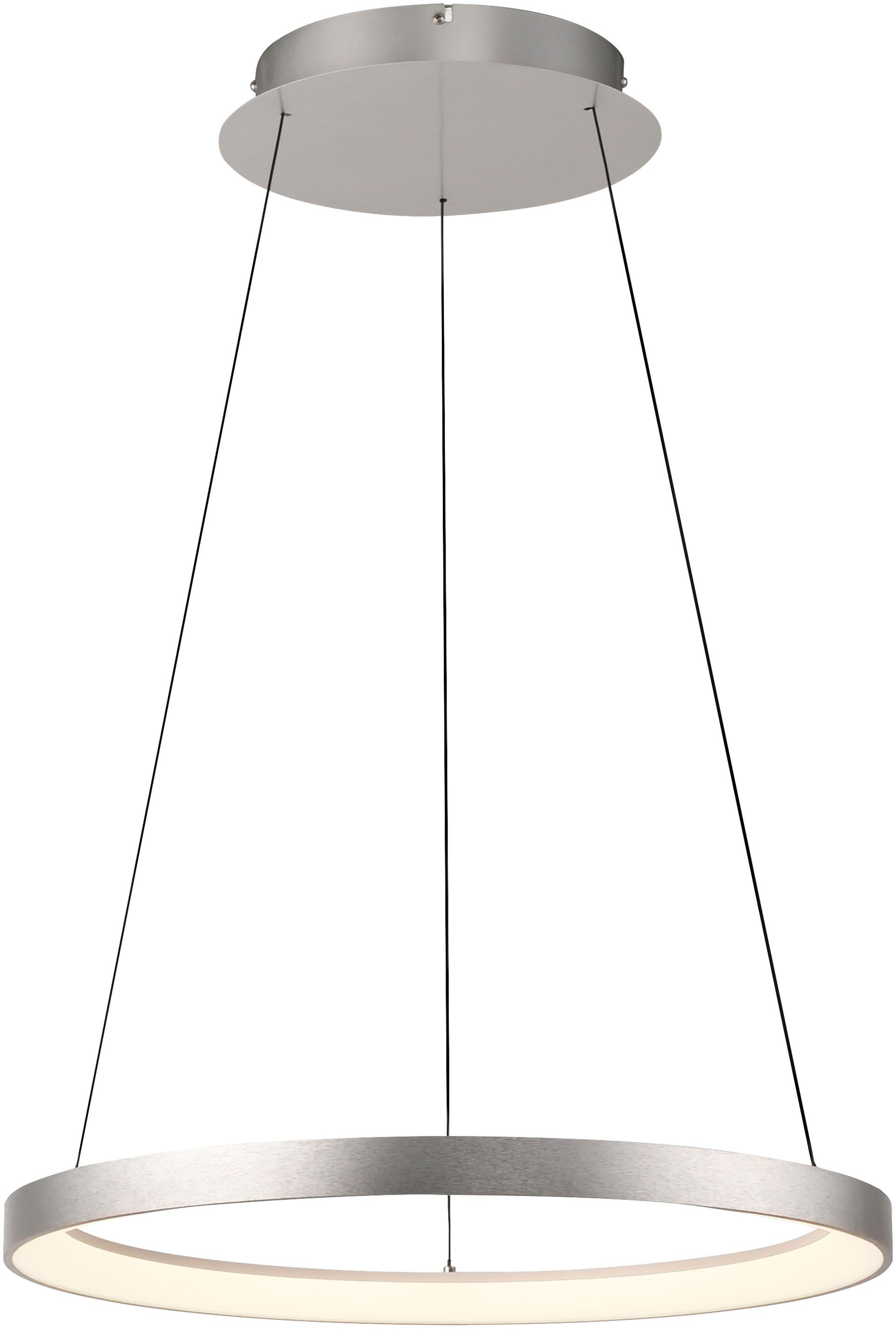 Paul Neuhaus Pendelleuchte HOOP, Dimmfunktion, LED fest integriert, Warmweiß, LED, dimmbar, Simply Dim, Memory, nach Trennung vom Netz, Comfort Lift