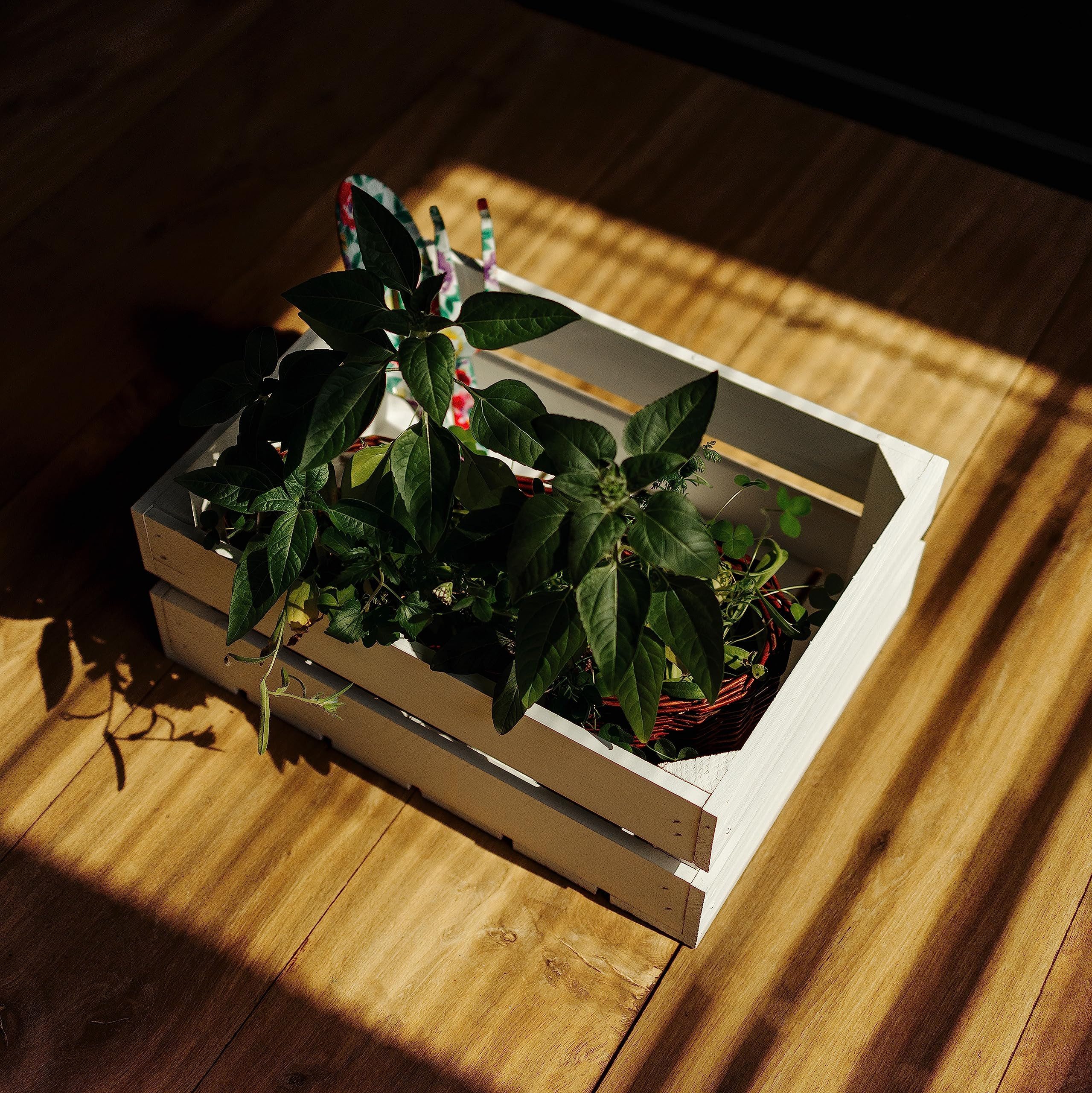 Creative Deco Holzkiste 3x Weinkisten Set günstig online kaufen