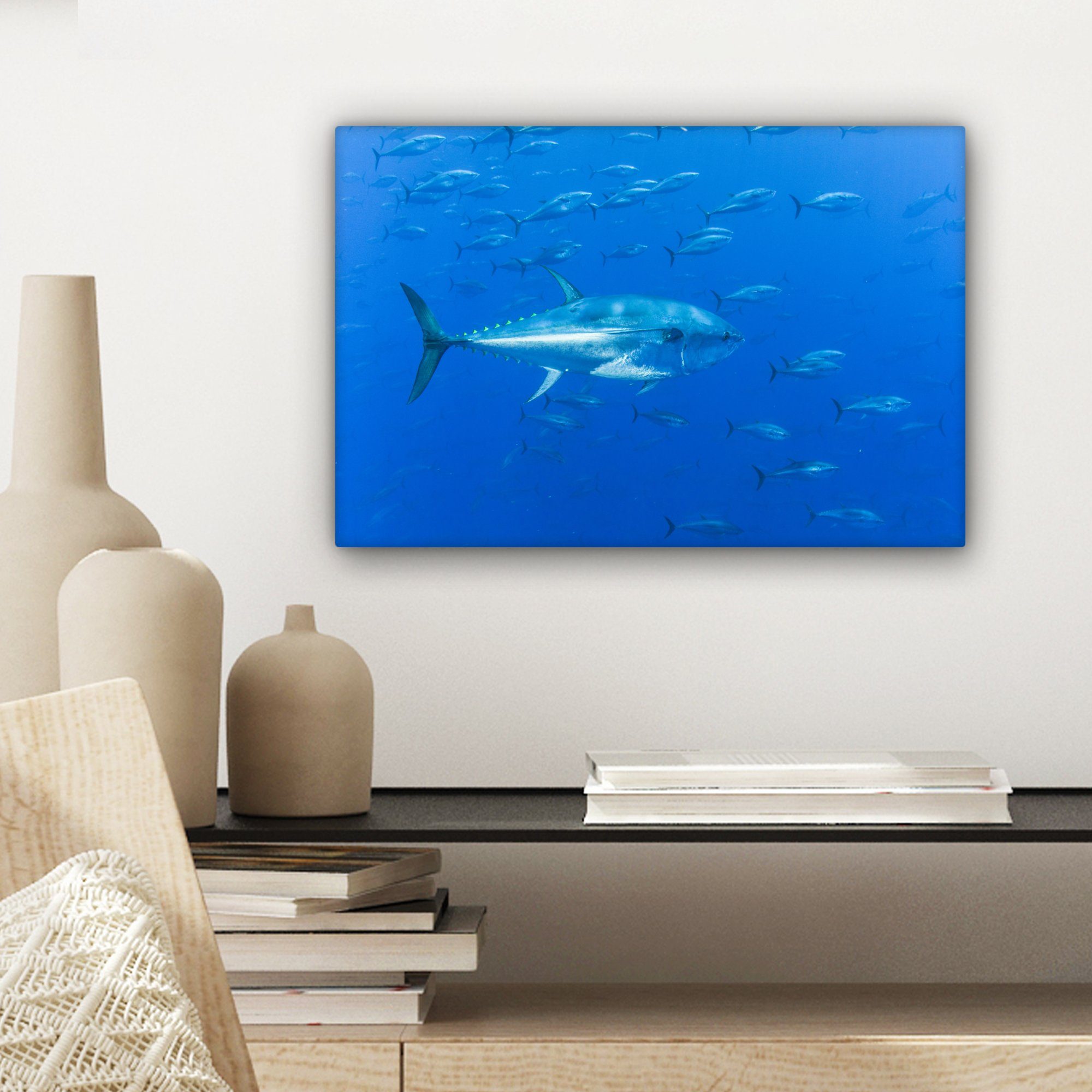 Wandbild St), zueinander (1 Wanddeko, Meer, OneMillionCanvasses® 30x20 Thunfische Leinwandbilder, im Leinwandbild Aufhängefertig, parallel cm