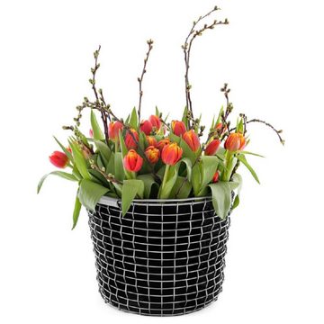Korbo Balkonset Pflanzeinsätze für Bin und Bucket 16 (3-teilig)