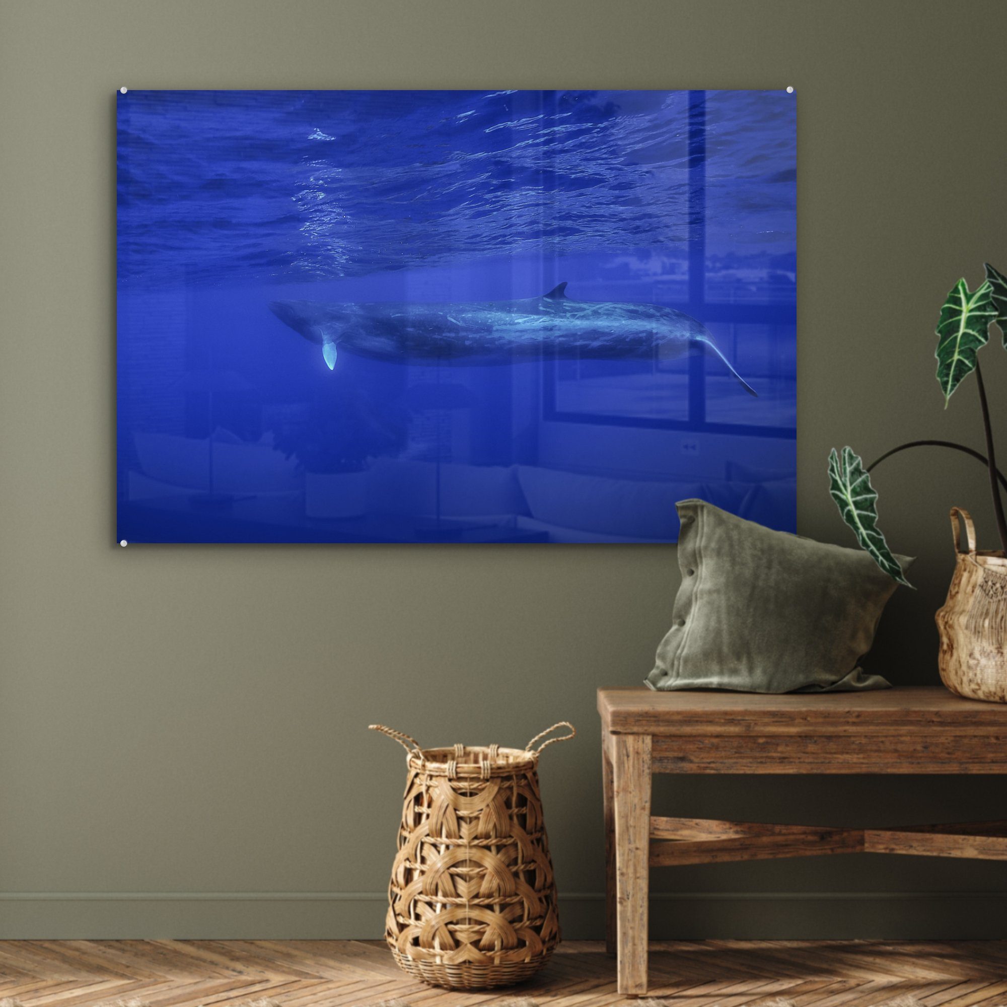 Acrylglasbild St), MuchoWow Blauwal, - Schlafzimmer Wohnzimmer Wale & (1 - Acrylglasbilder Meerestiere