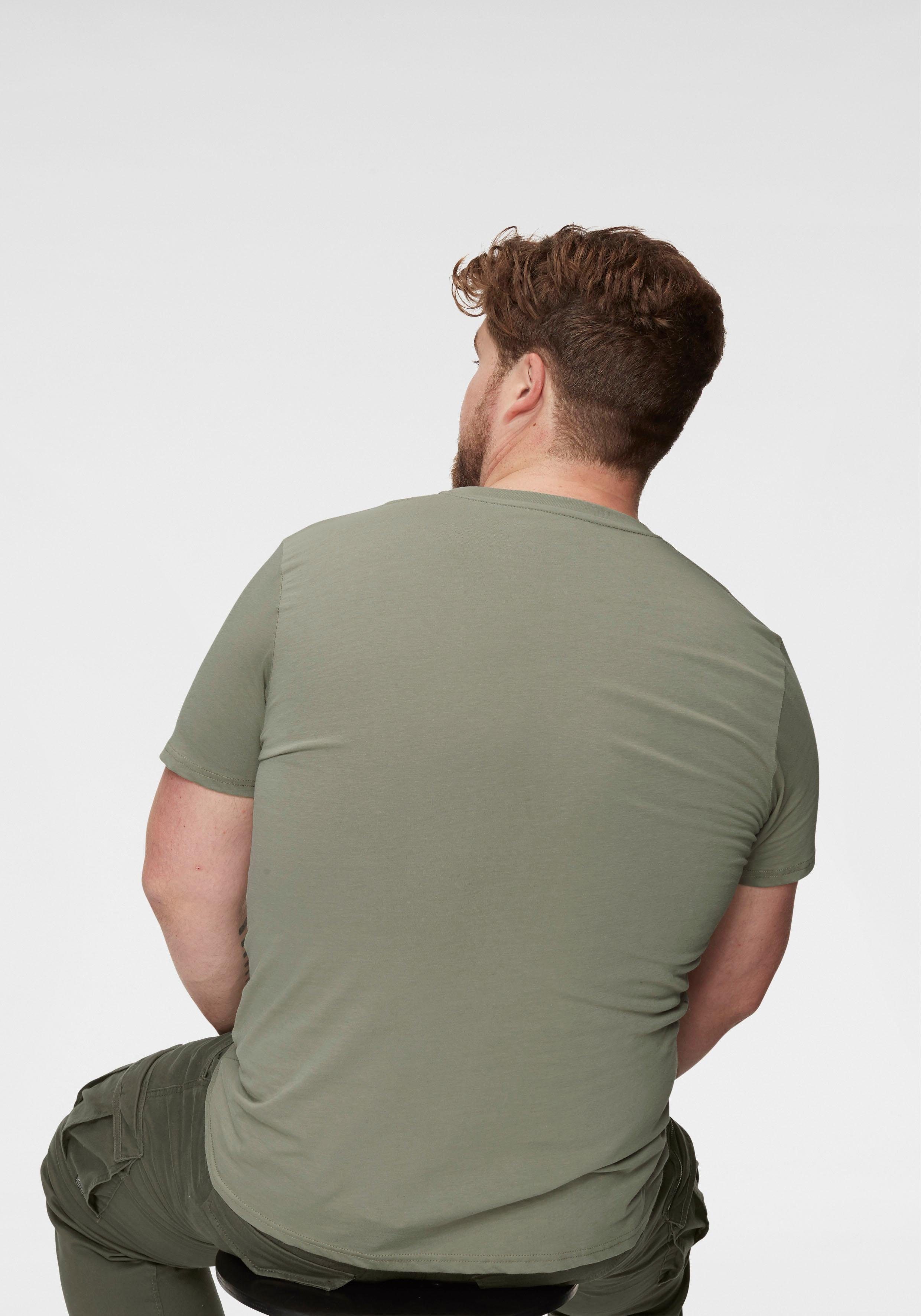 Alpha Industries T-Shirt Basic T-Shirt Baumwolle, regular fit