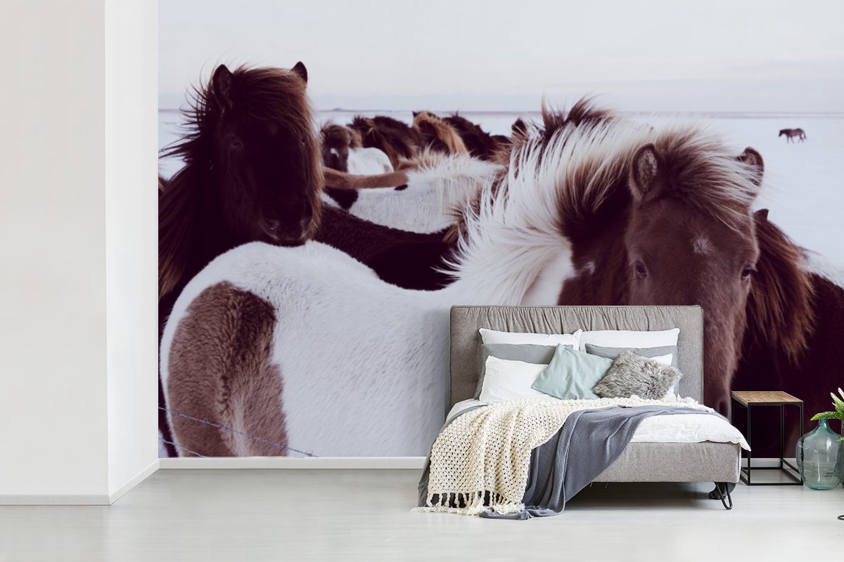 Tapete (6 Fototapete Wallpaper MuchoWow St), - Island, Pferde für Vinyl bedruckt, Matt, Schnee - Schlafzimmer, Wohnzimmer, Kinderzimmer,
