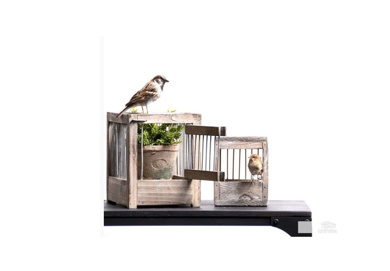 Esschert Design BV Vogelhaus Vogelkäfig Schaukasten Volierennest aus Tannenholz Vintage Look