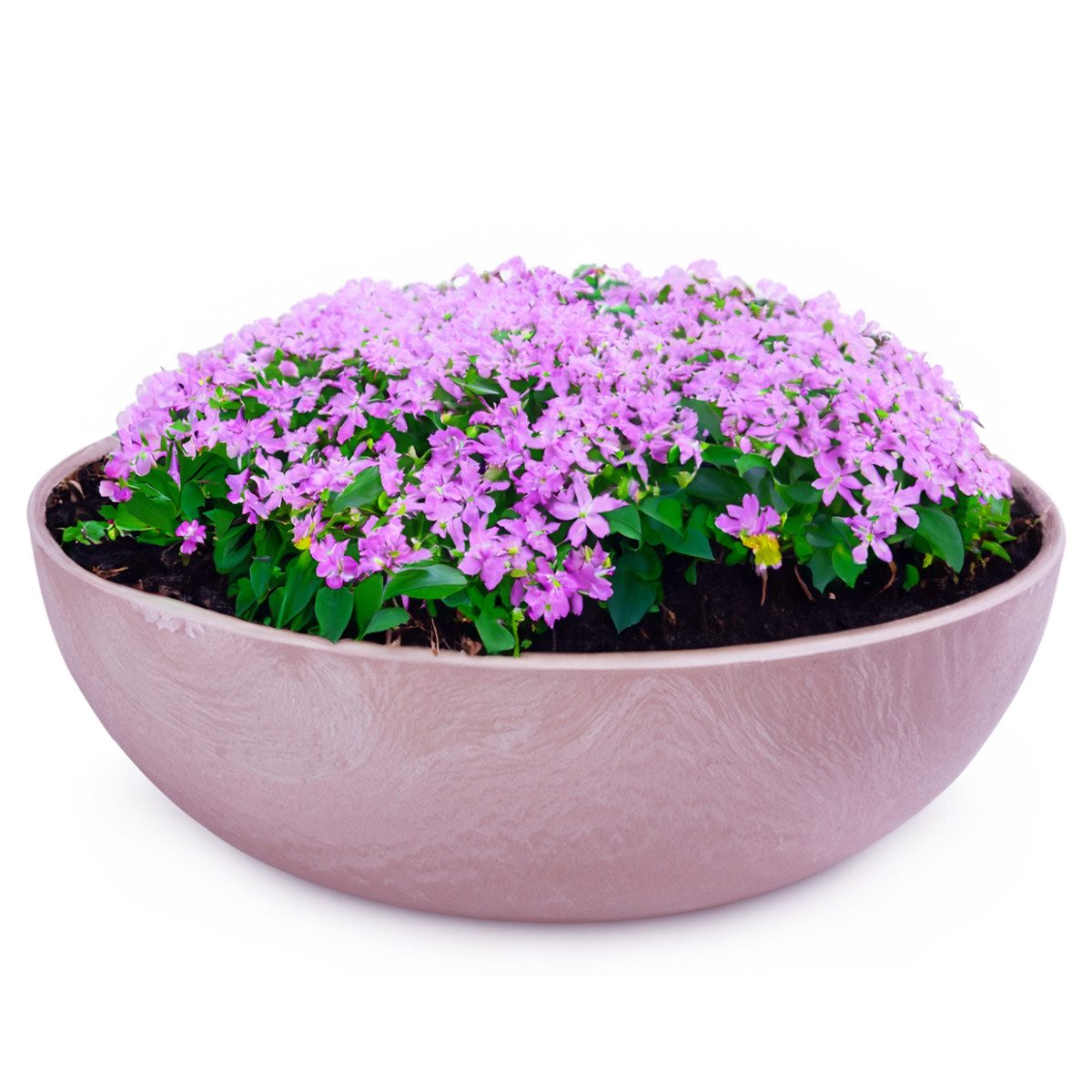 matches21 HOME & HOBBY Blumentopf Pflanzschale für draussen Dekoschale rund alt-rosa marmoriert 30 cm (1 St), Blumen-Schale als wetterfeste Friedhof-Schale Grab-Schmuck Grabschale