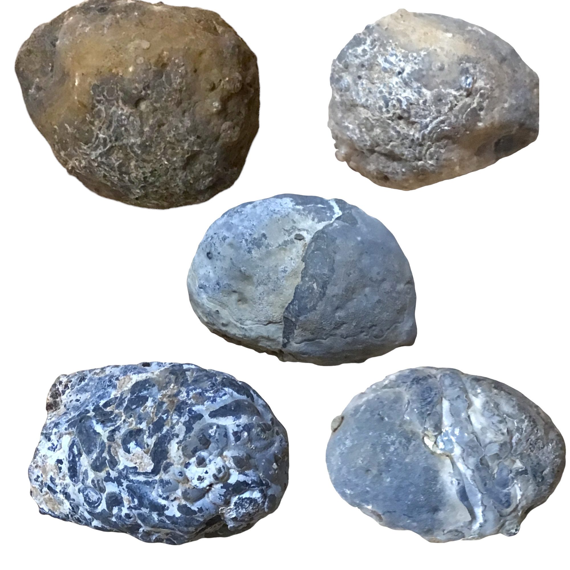 Steinfixx® Mineralstein 5 Stück Nussgeoden I Occos, Achat Geoden I geschlossen, Brasilien, (mit Anleitung, 1-St., herrlicher Partyspass), Glücksgeoden