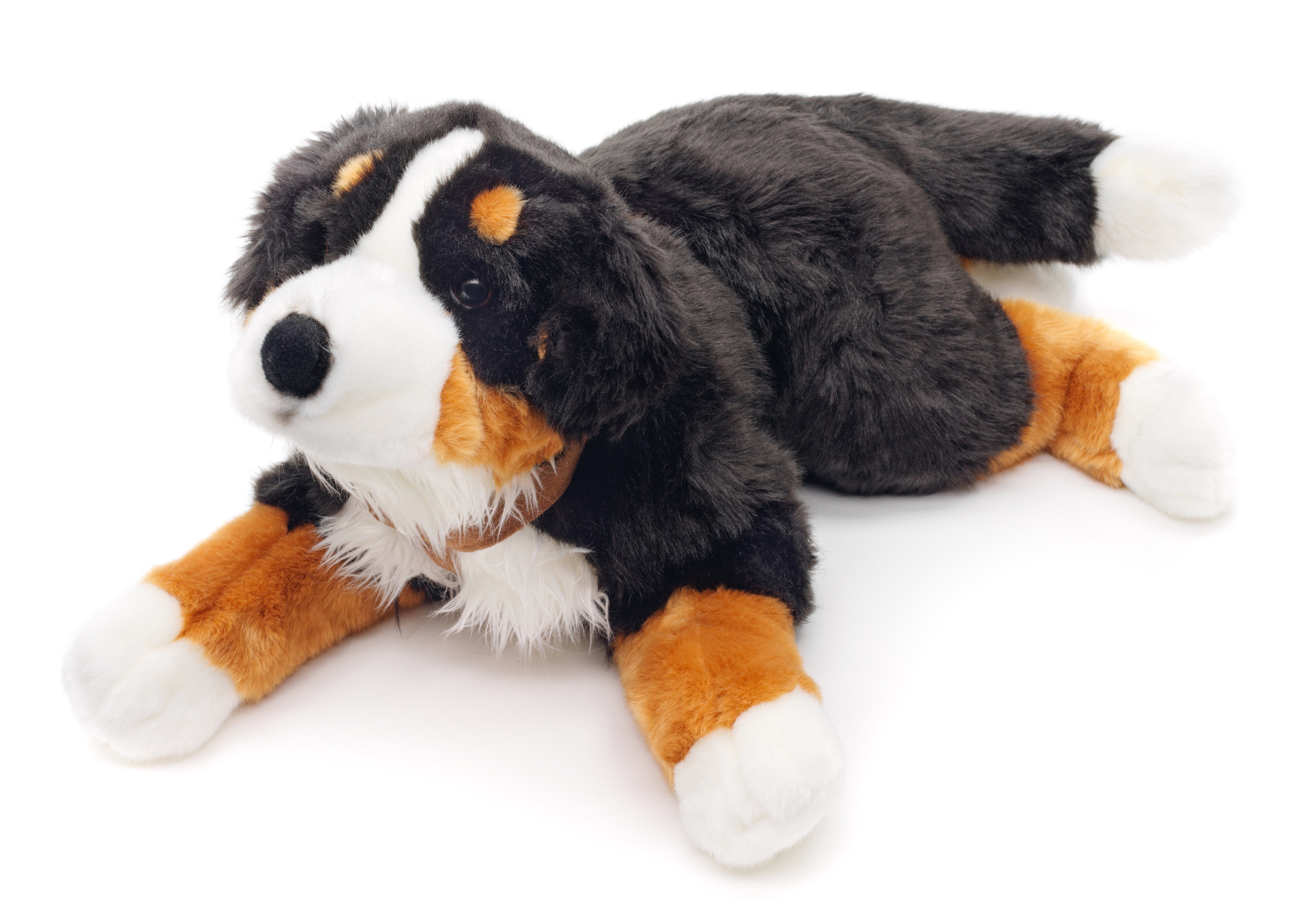 Uni-Toys Kuscheltier Berner Sennenhund mit Geschirr - 62 cm - Plüsch-Hund - Plüschtier, zu 100 % recyceltes Füllmaterial