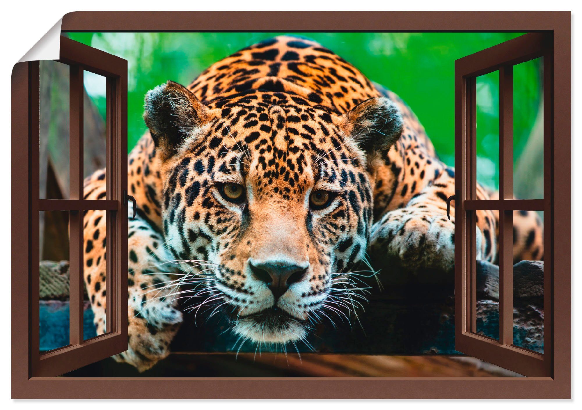 Artland Wandbild Fensterblick - Südamerikanischer Jaguar, Wildtiere (1 St), als Alubild, Leinwandbild, Wandaufkleber oder Poster in versch. Größen