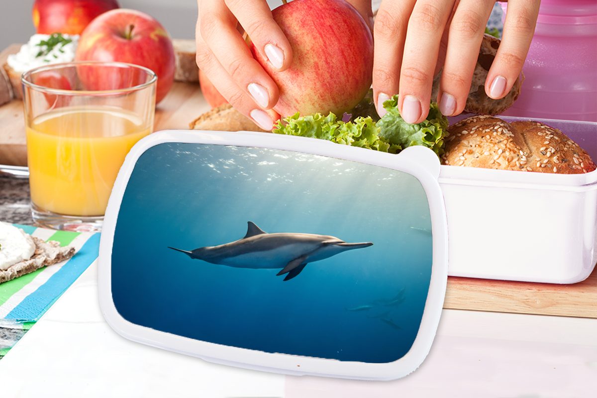 und (2-tlg), Mädchen Kunststoff, Brotdose, und für für Sonne, weiß Brotbox Meer Jungs Lunchbox - Kinder Delfin MuchoWow Erwachsene, -
