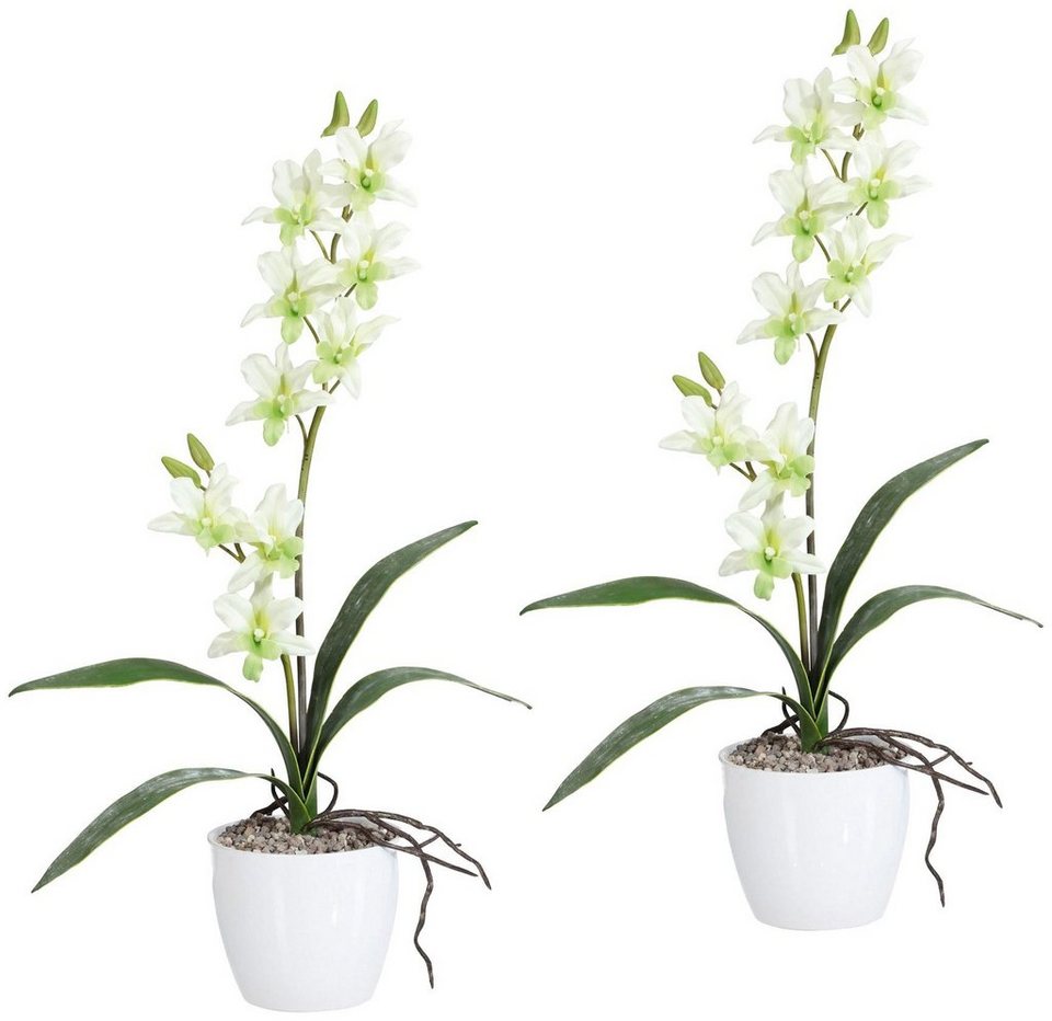 Kunstpflanze Orchidee Dendrobie Orchidee, Creativ green, Höhe 60 cm, im  Keramiktopf