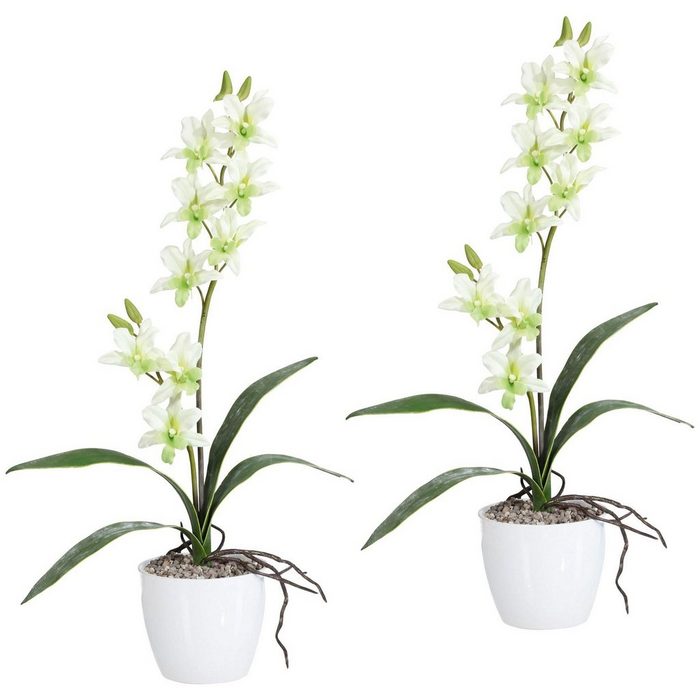 Kunstpflanze Orchidee Dendrobie Orchidee Creativ green Höhe 60 cm im Keramiktopf
