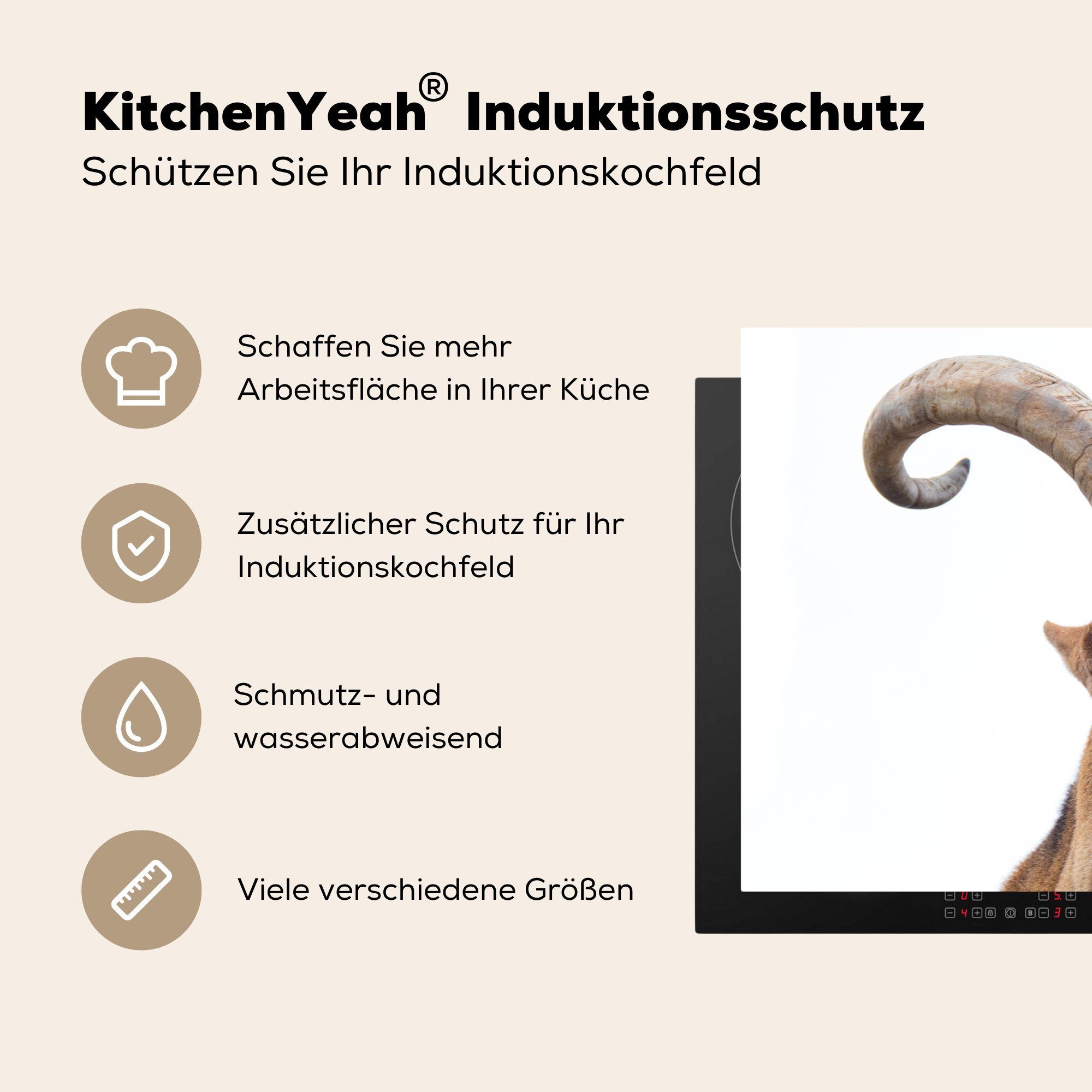 MuchoWow Schutz cm, Ceranfeldabdeckung (1 für Hoorn, küche, die Induktionskochfeld - Tiere 81x52 Herdblende-/Abdeckplatte - Steinbock tlg), Vinyl,